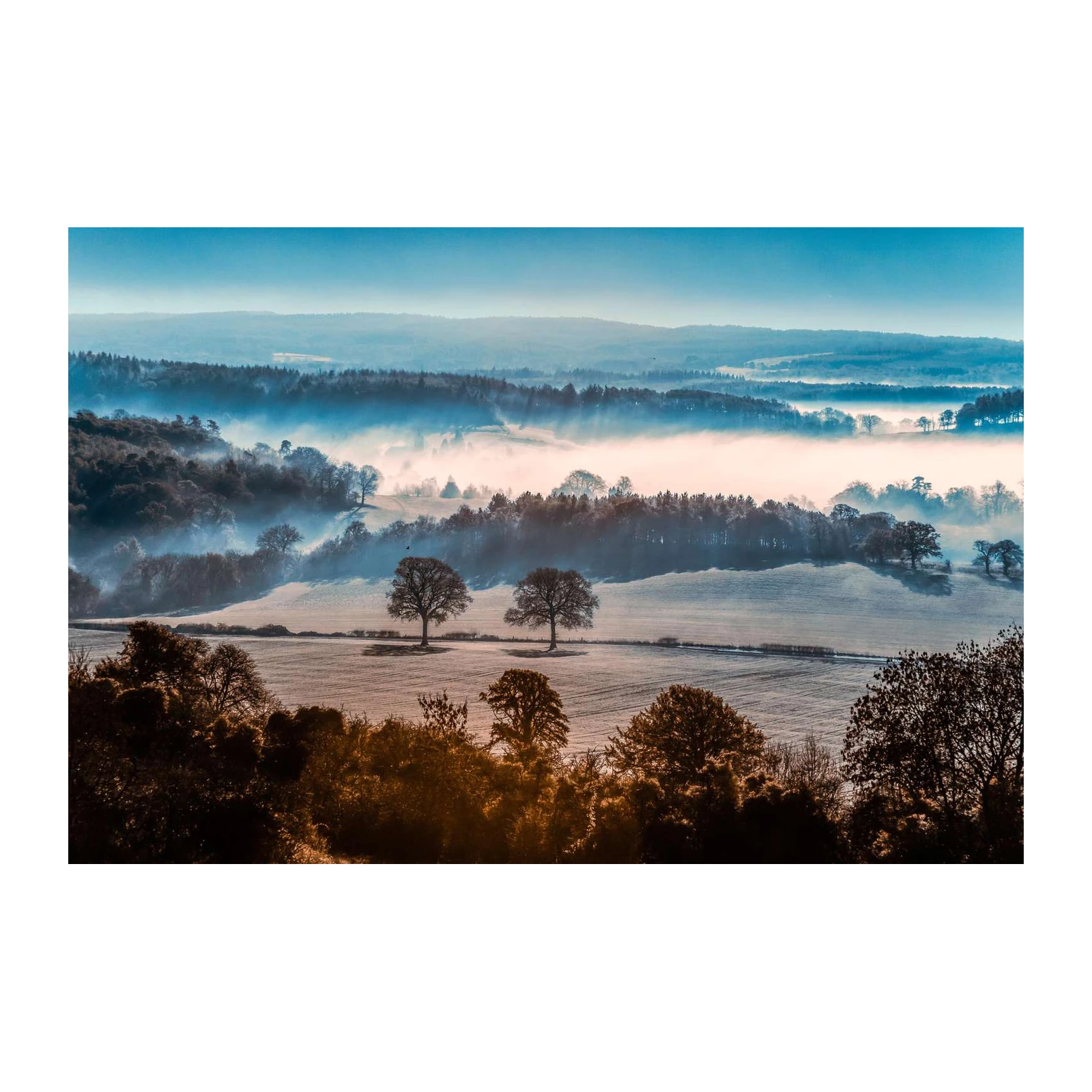 Misty Morning English Countryside Wall Art