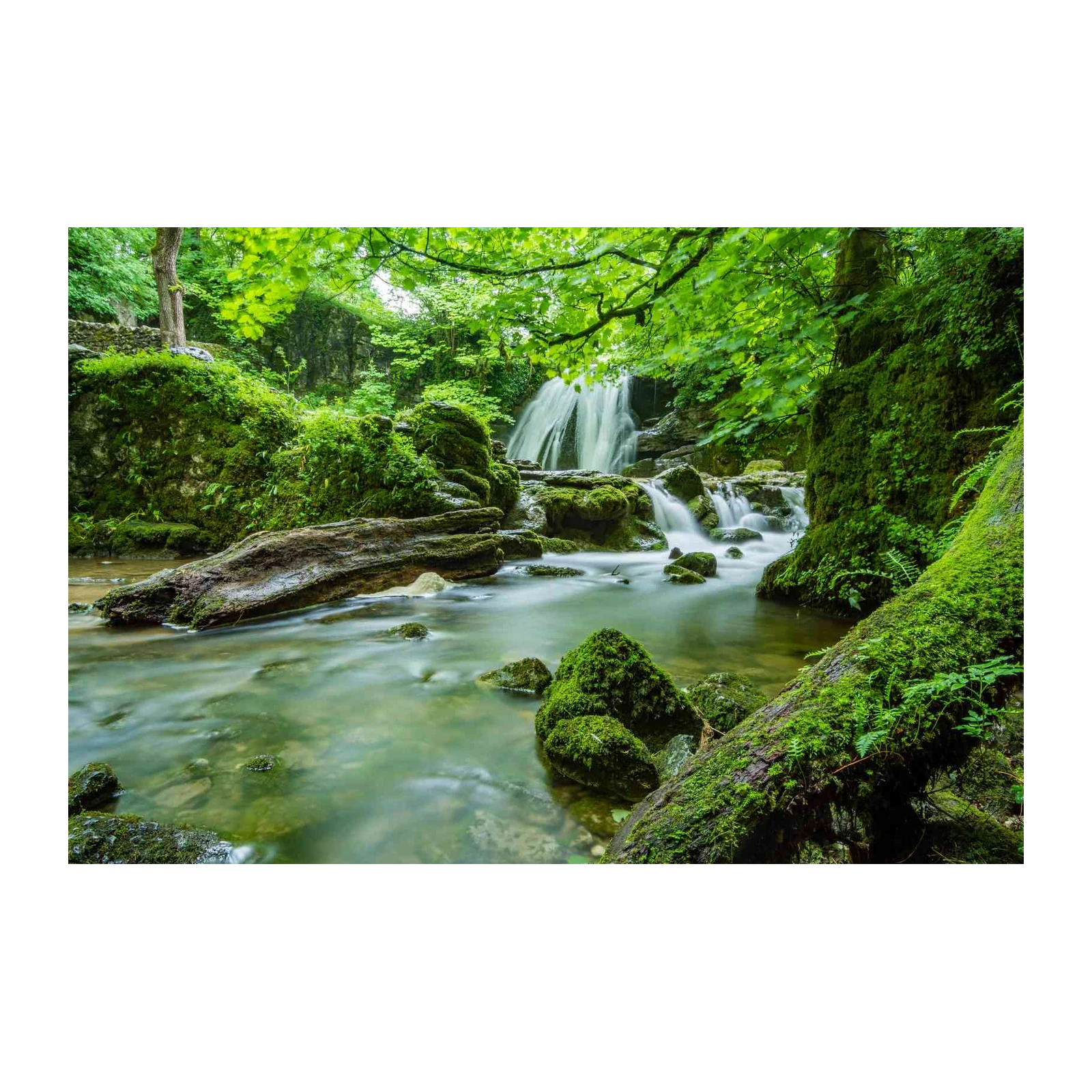 Tranquil Forest Waterfall Serenity Wall Art