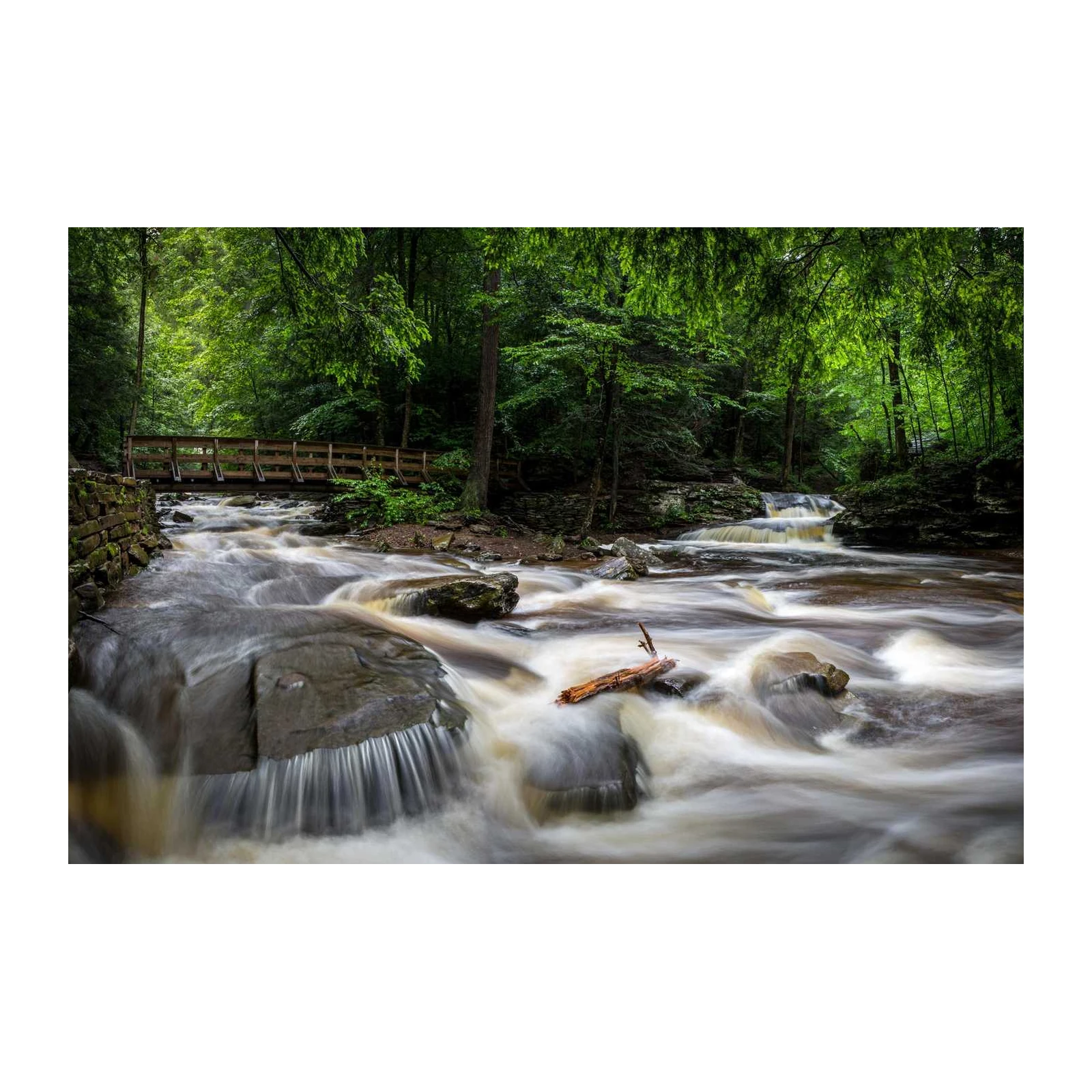 Serene Forest Waterfall & Bridge Wall Art