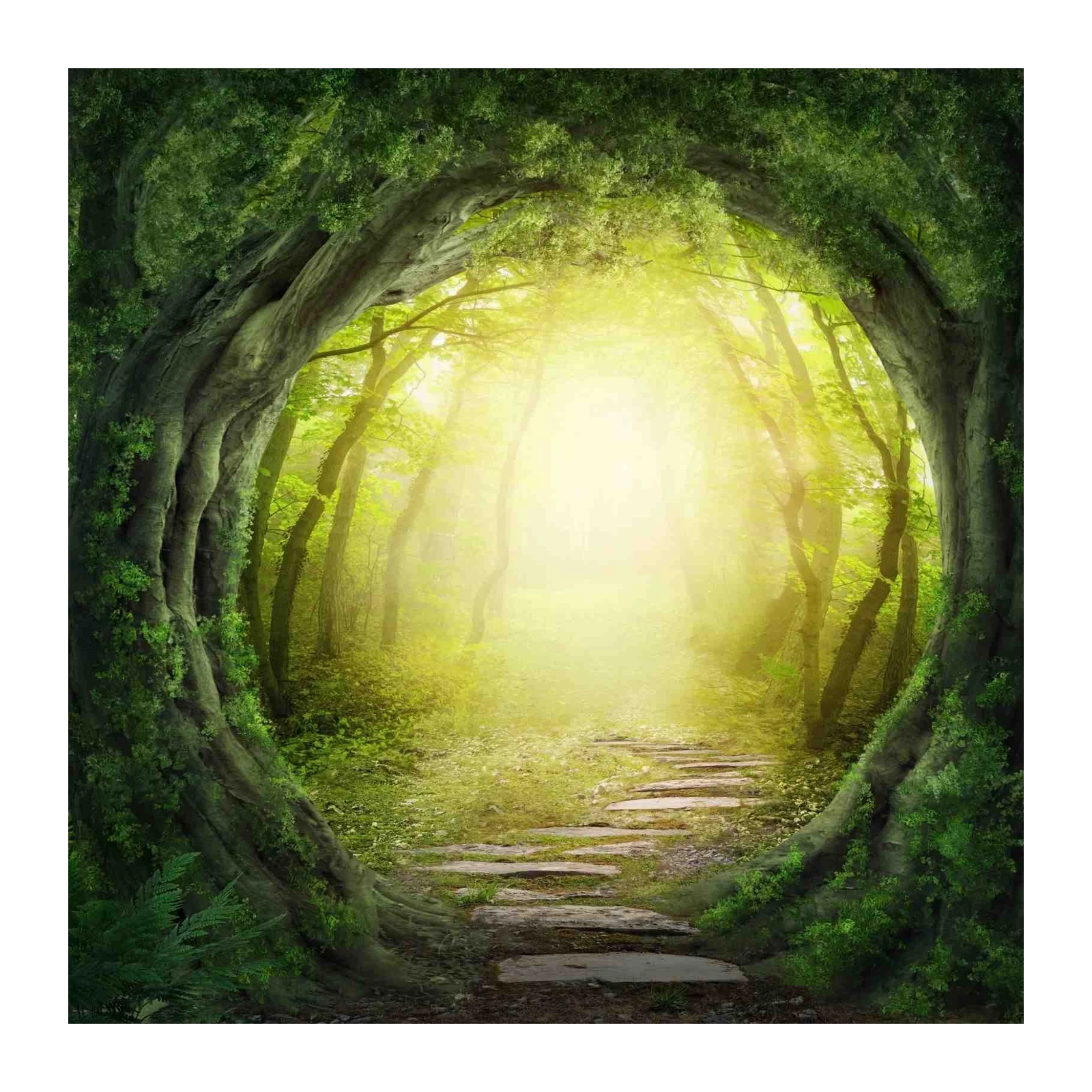 Enchanted Forest Pathway Wall Art