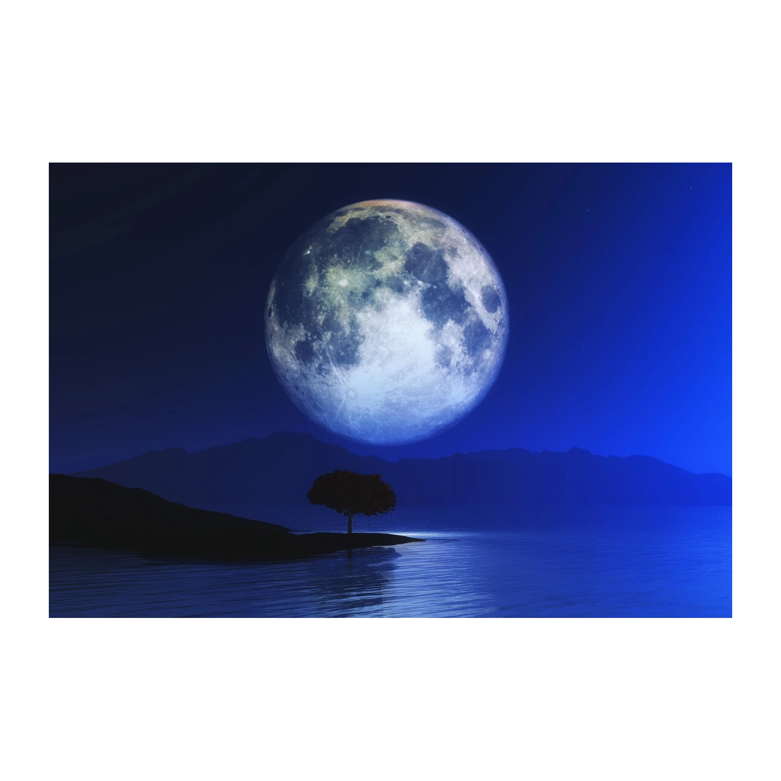 Serene Moonlit Landscape Wall Art
