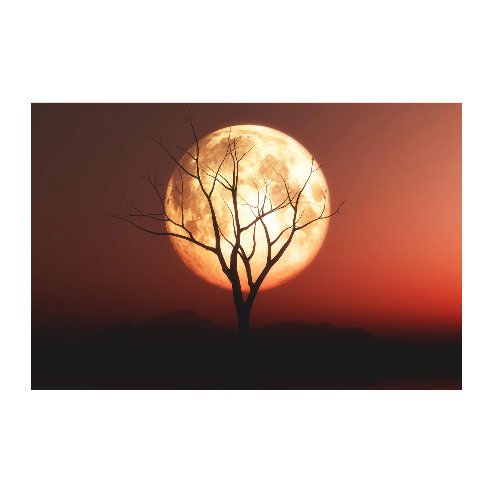 Mysterious Full Moon & Bare Tree Wall Art