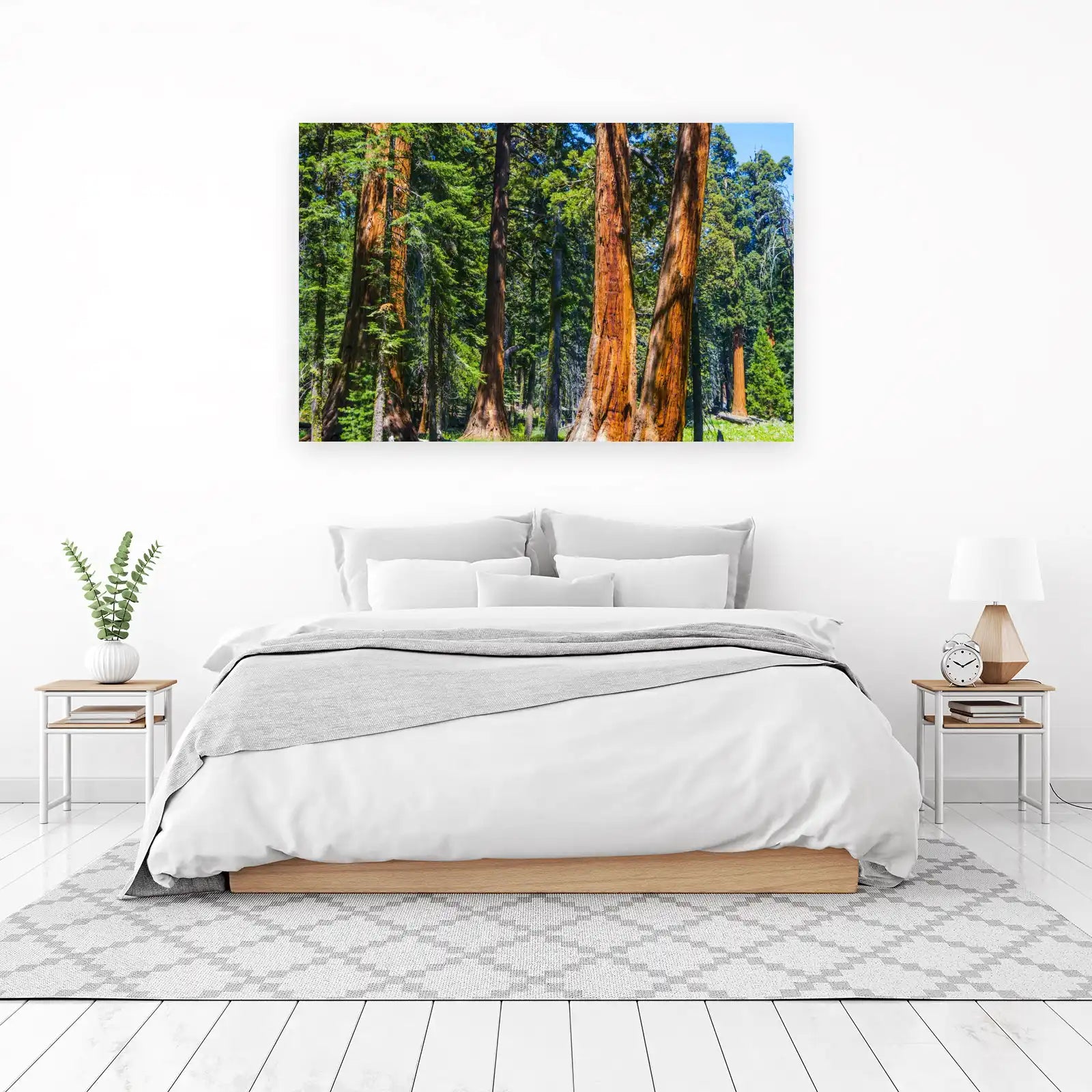 Majestic Redwoods Forest Wall Art