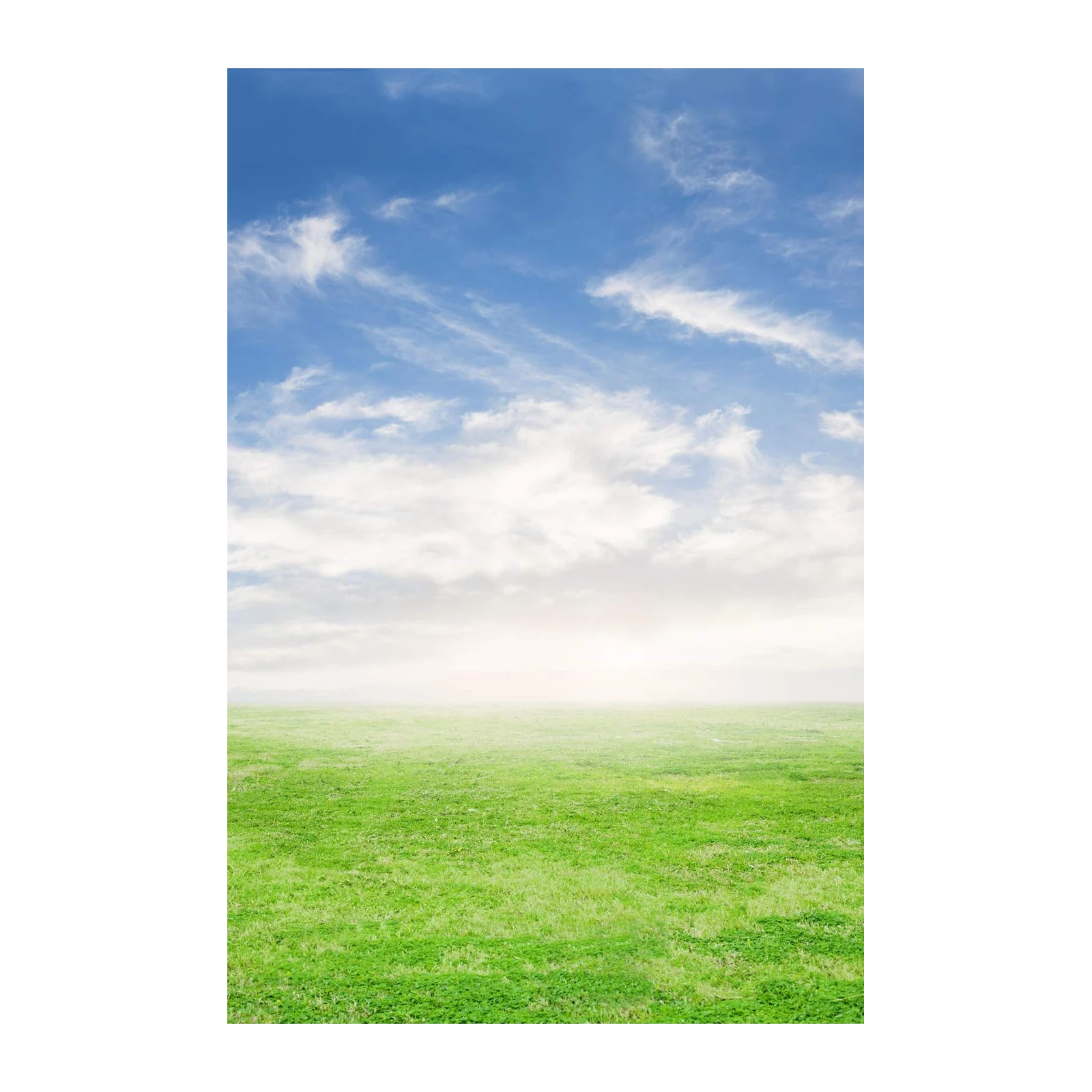 Serene Green Field & Blue Sky Wall Art