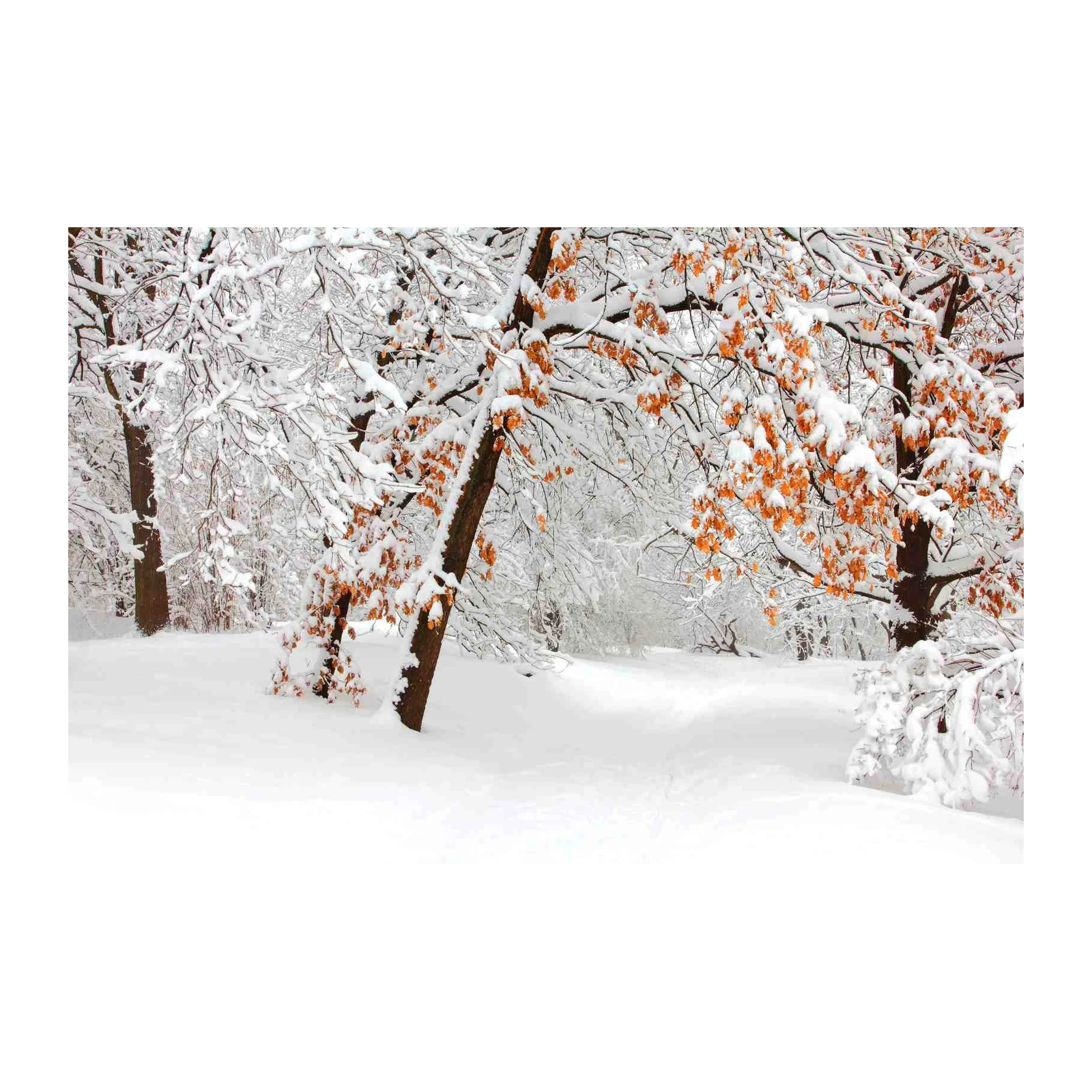 Serene Winter Forest Snow Landscape Wall Art