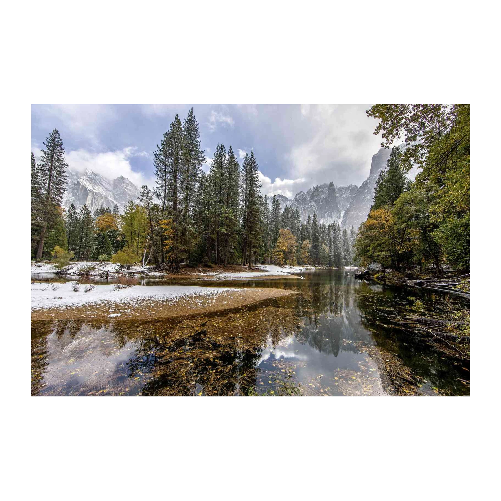 Yosemite Serenity Snow-Kissed Pines Wall Art