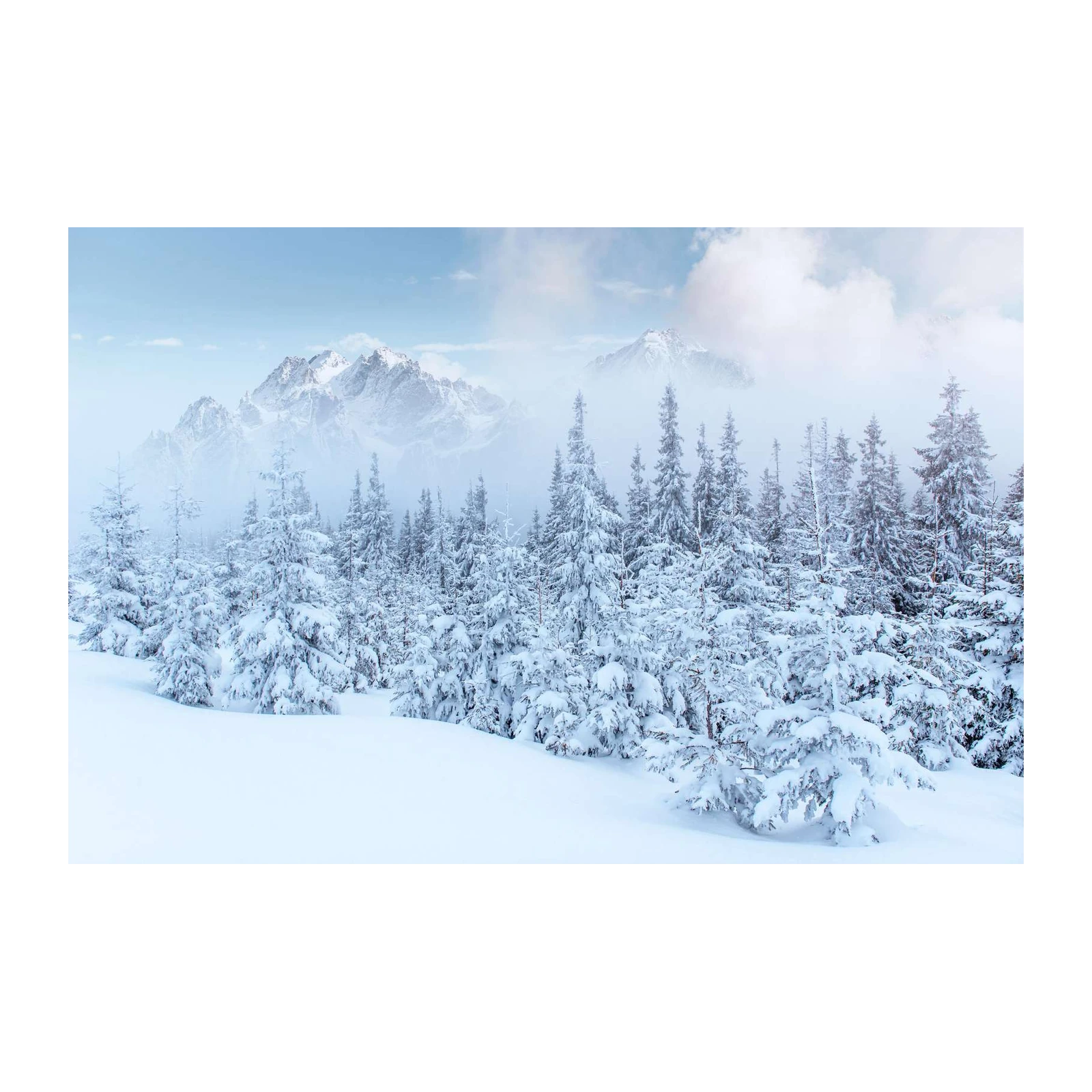 Winter Mountain Forest Serenity Wall Art