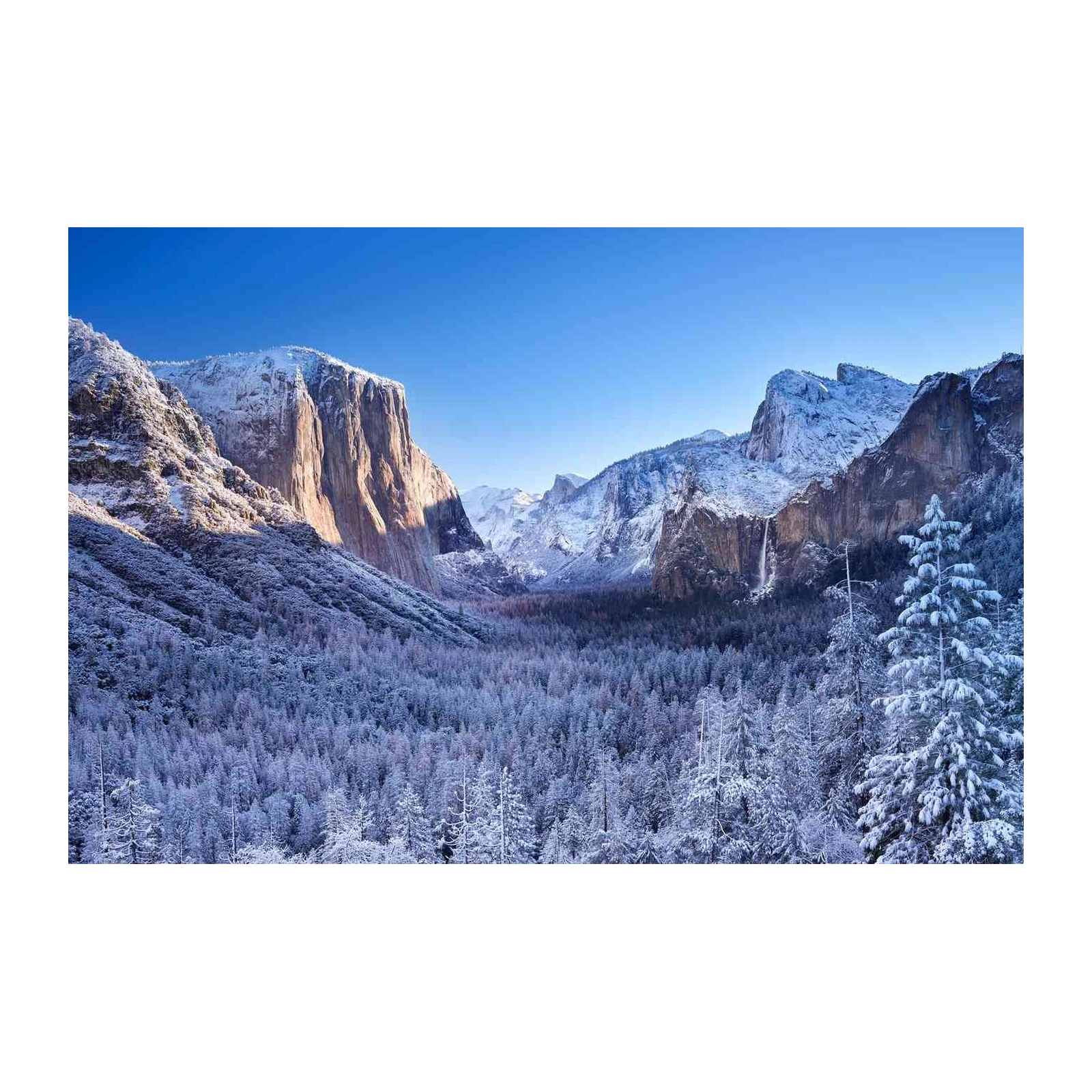 Majestic Yosemite Winter Landscape Wall Art