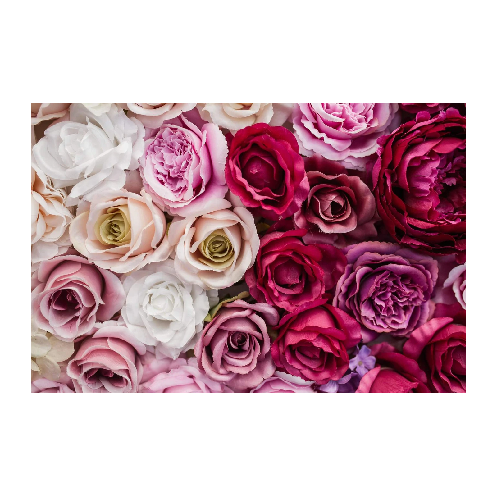Blush & Berry Rose Bouquet Wall Art