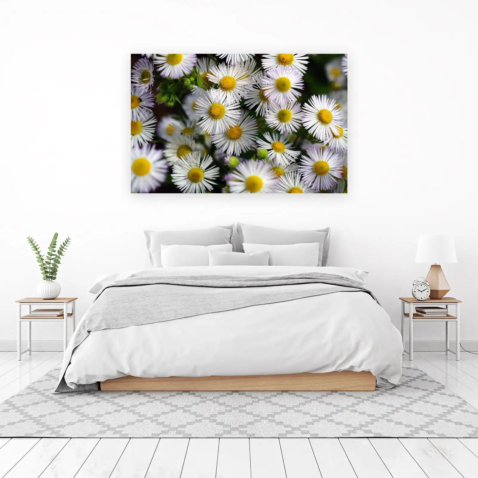 Daisies in Bloom Wall Art | Floral Wall Art