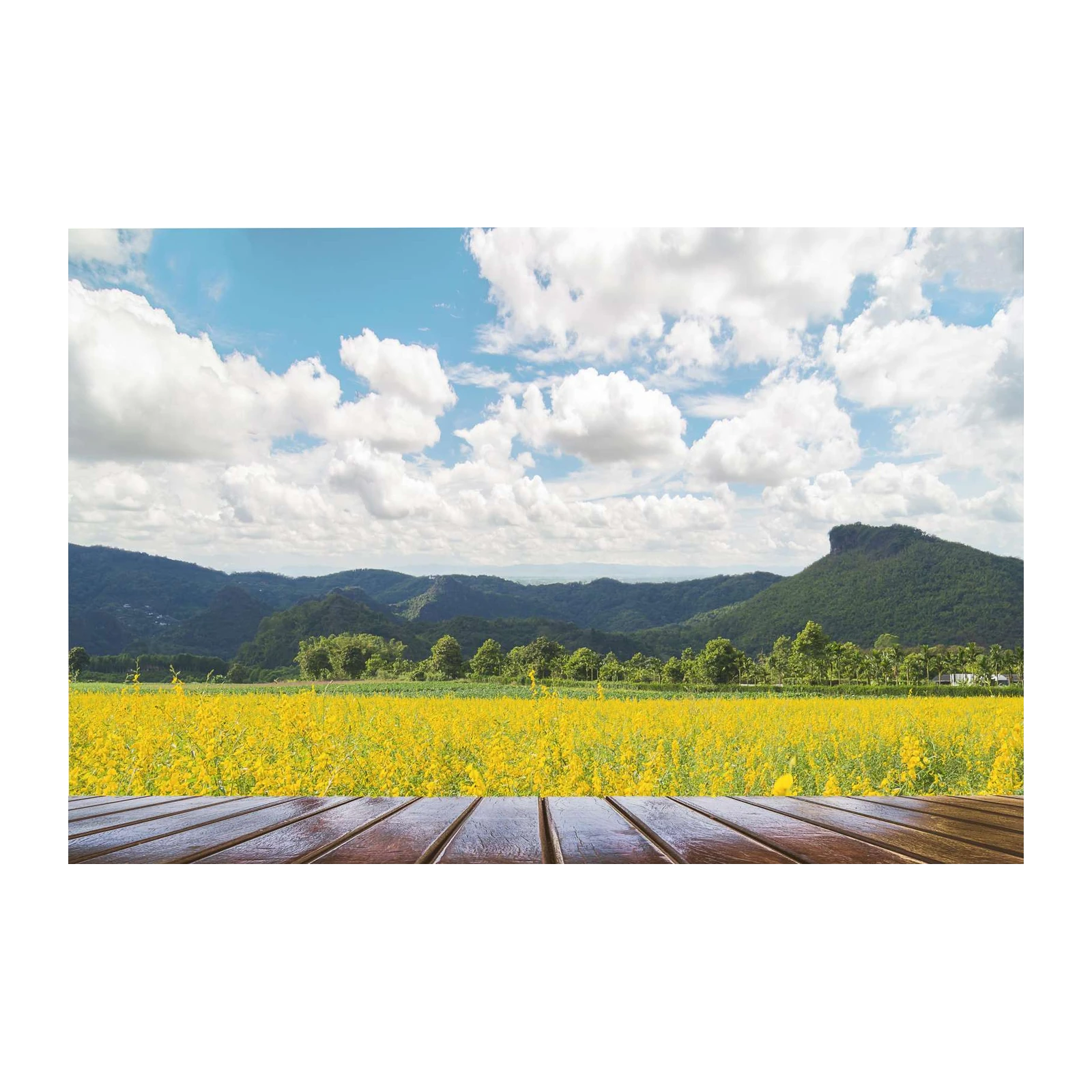 Vibrant Yellow Field Mountain Landscape Wall Art
