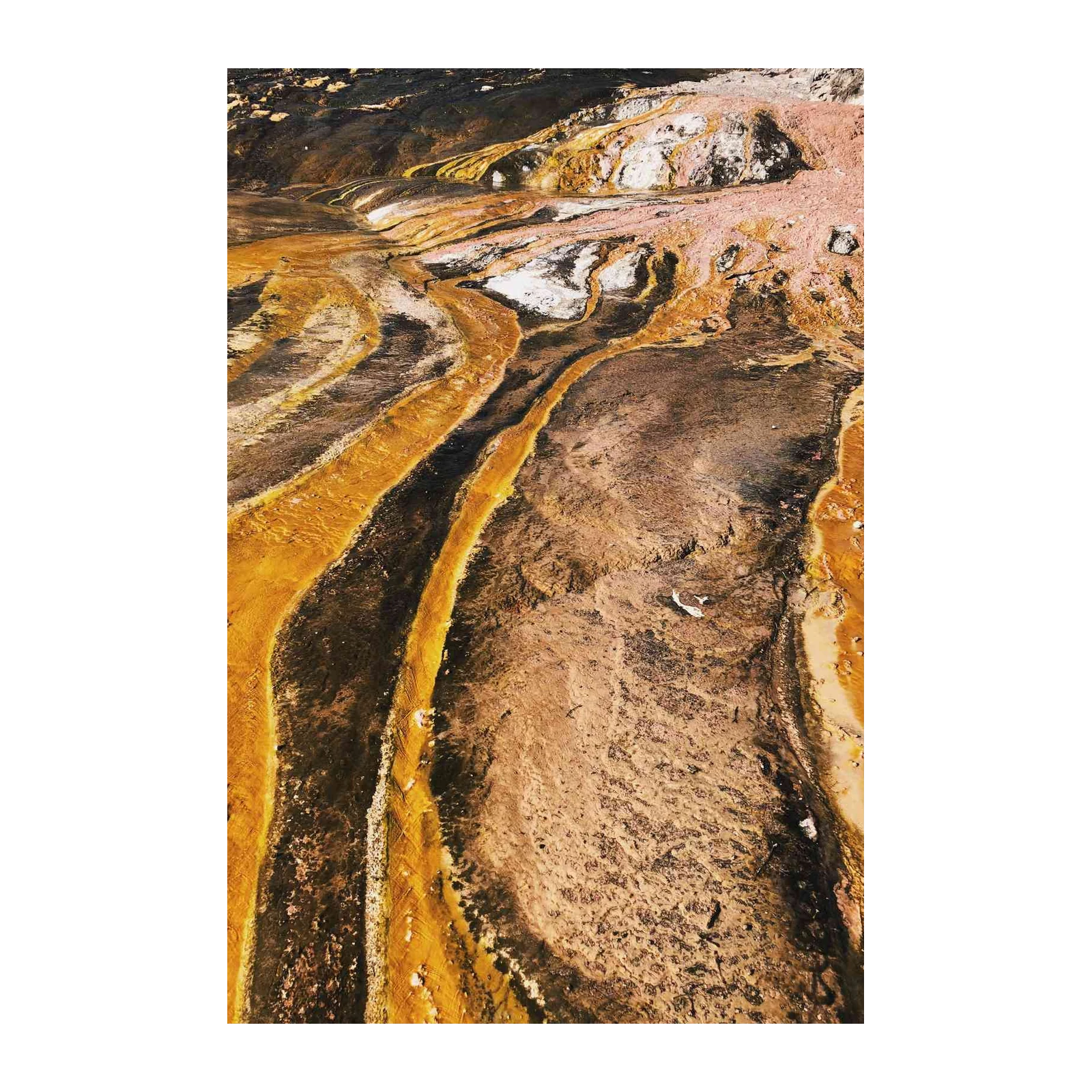 Golden Earth Flow Abstract Landscape Wall Art