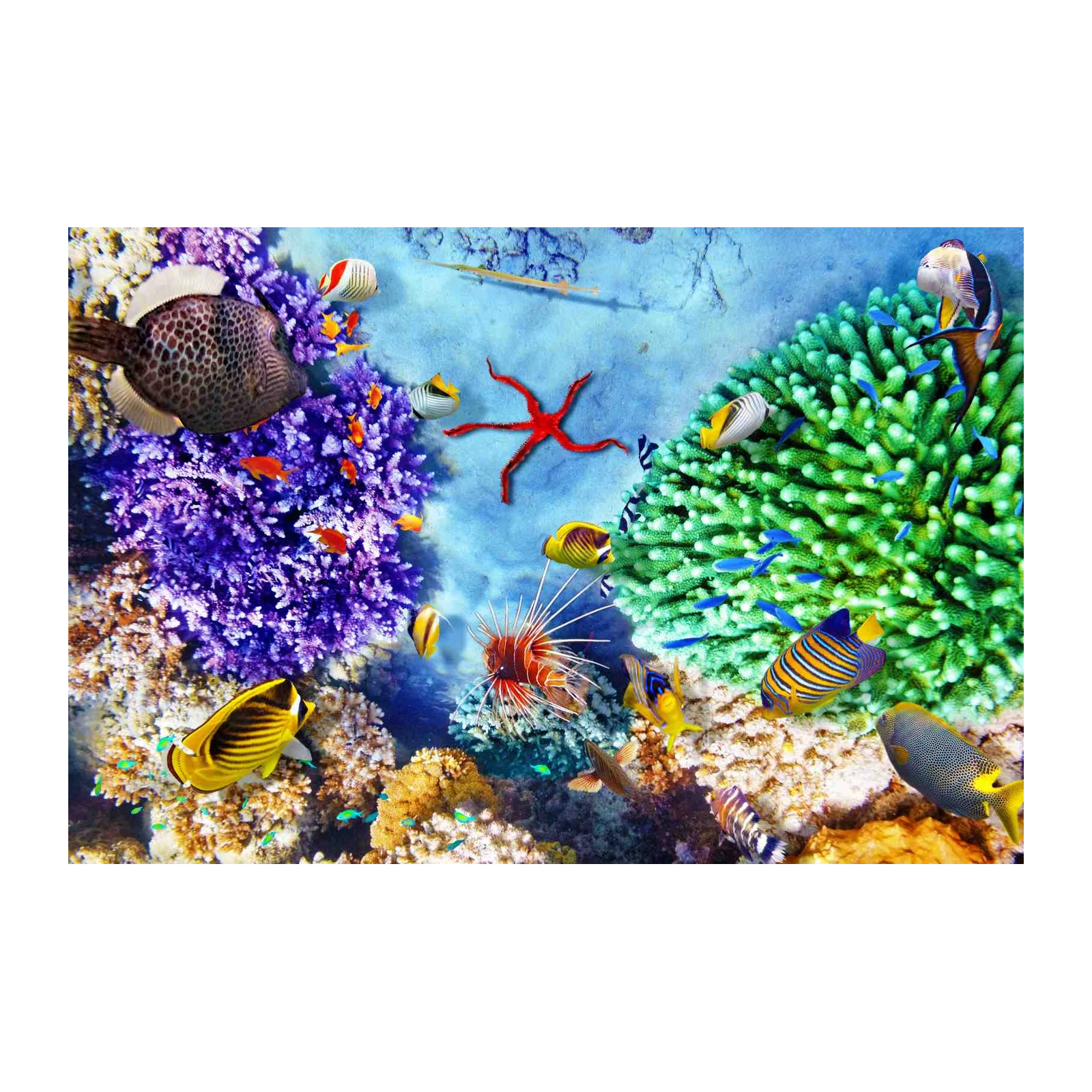 Vibrant Coral Reef Tropical Fish Wall Art