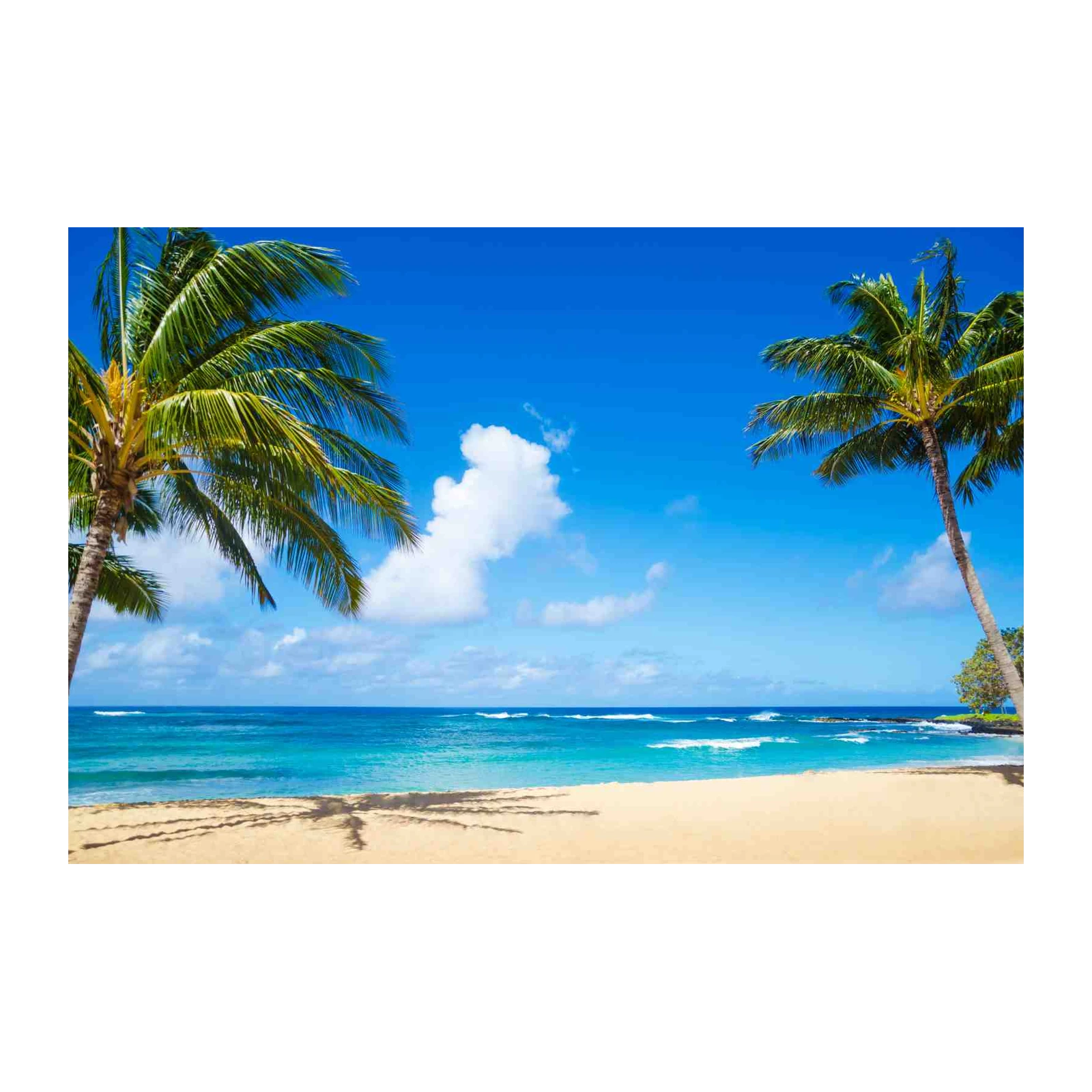 Tropical Paradise Beach Wall Art