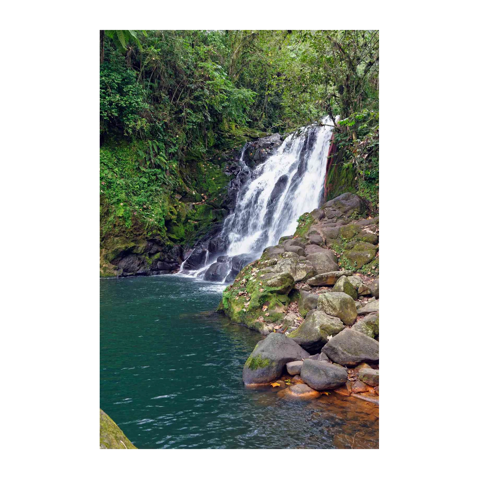 Serene Rainforest Waterfall Wall Art