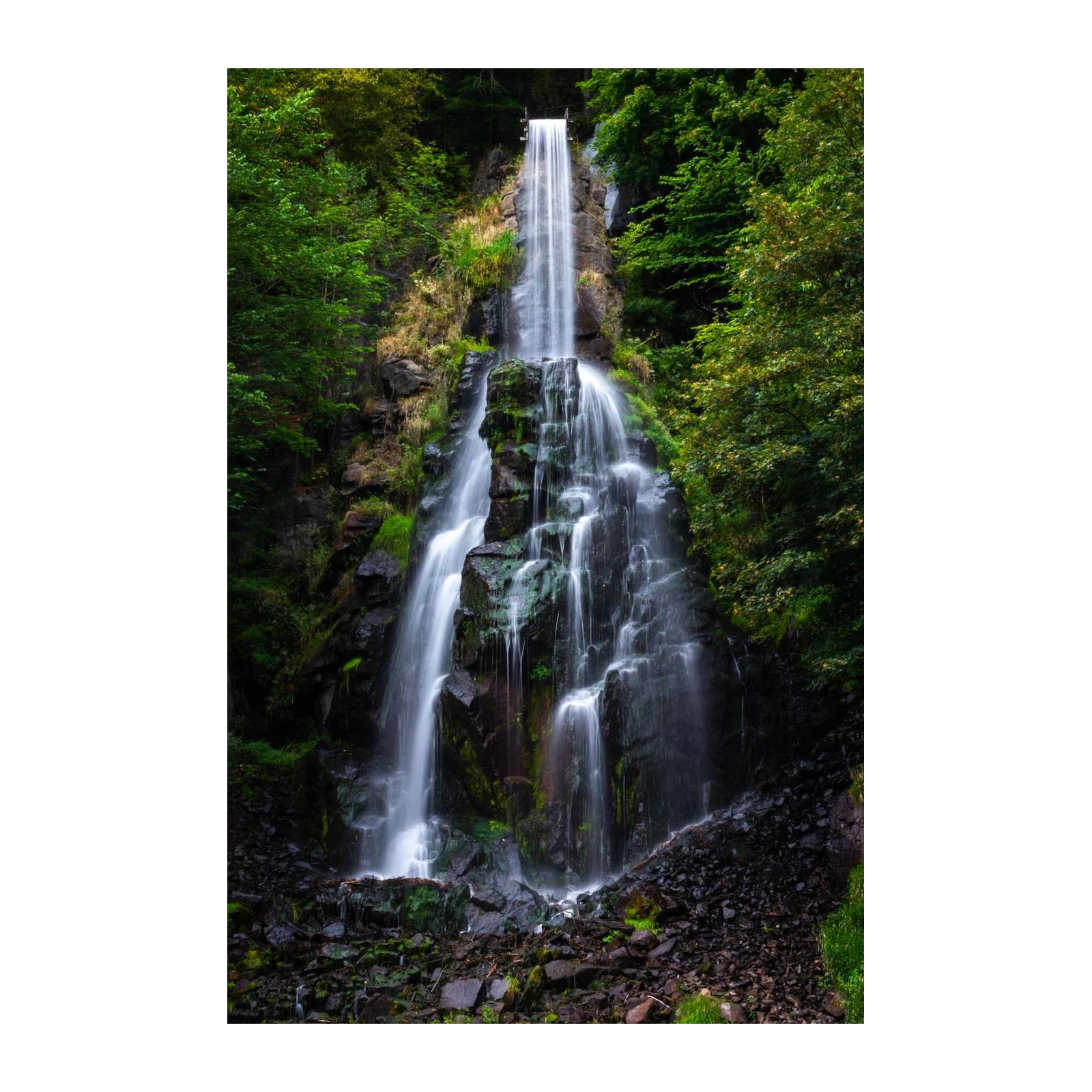 Majestic Waterfall Forest Serenity Wall Art