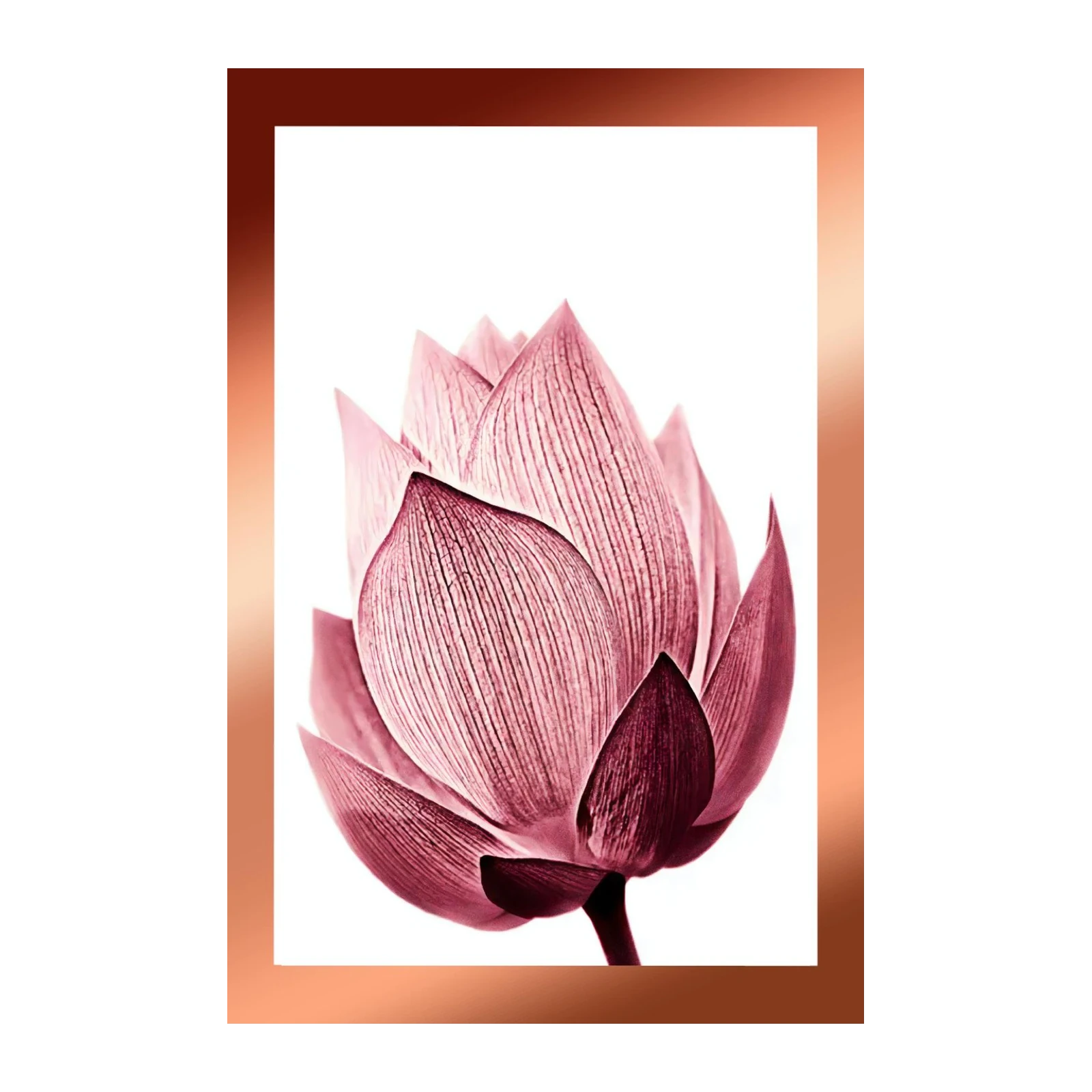 Elegant Pink Lotus Close-Up Wall Art