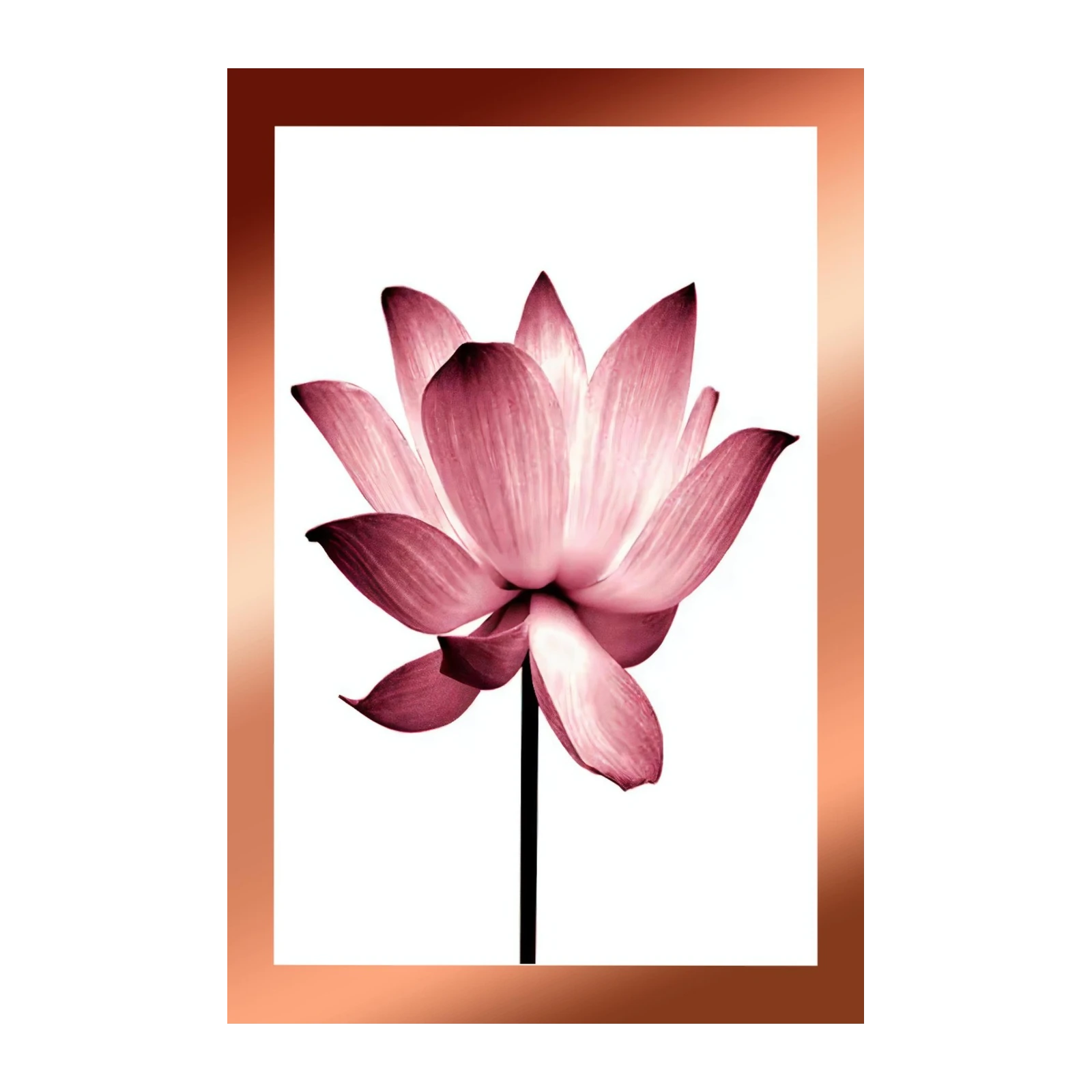Serene Pink Lotus Blossom Wall Art