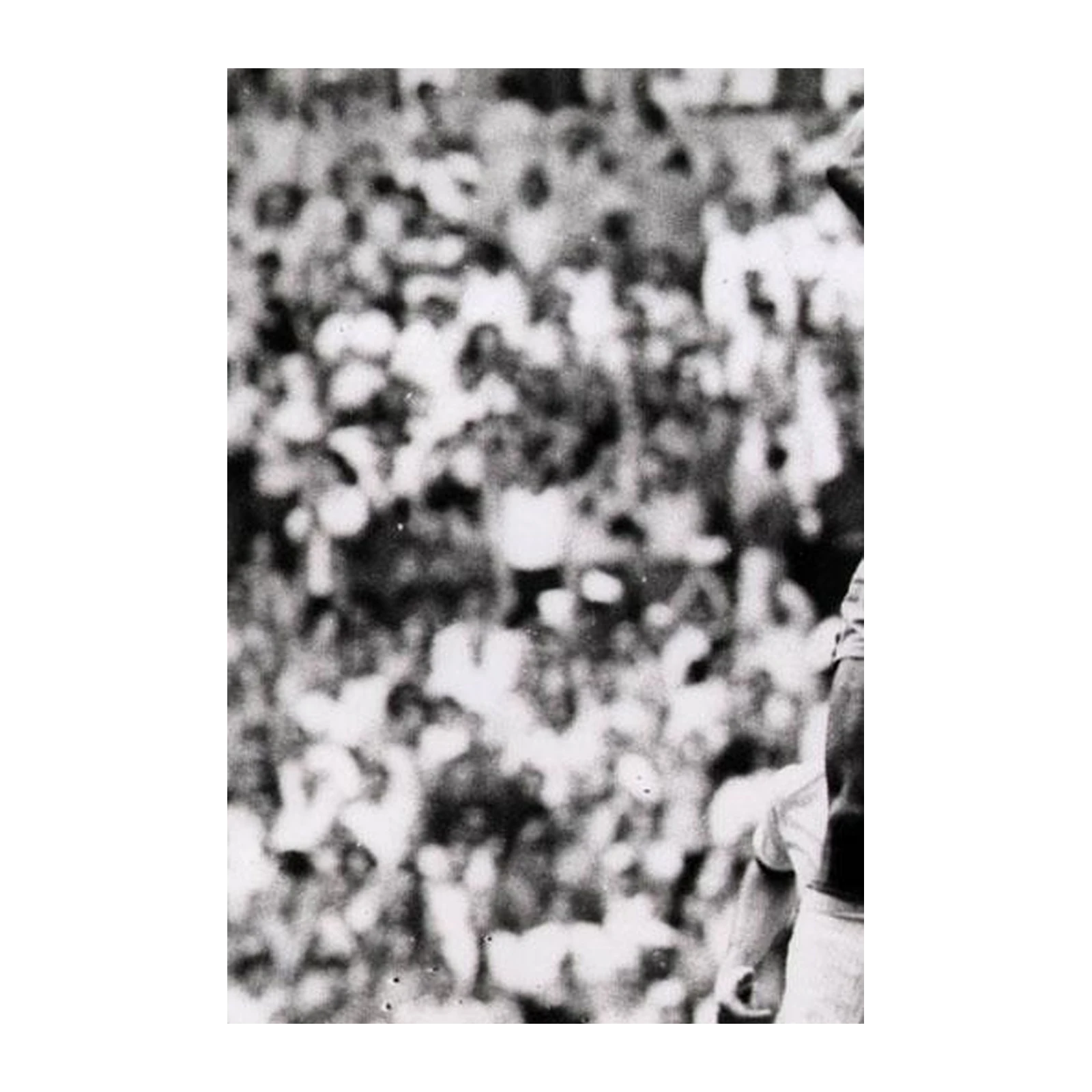 Vintage Sports Icon Portrait Wall Art