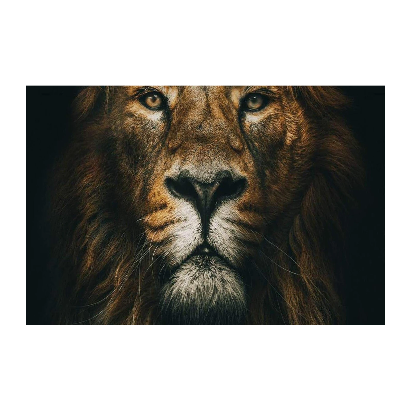 Majestic Lion King Fierce Portrait Wall Art