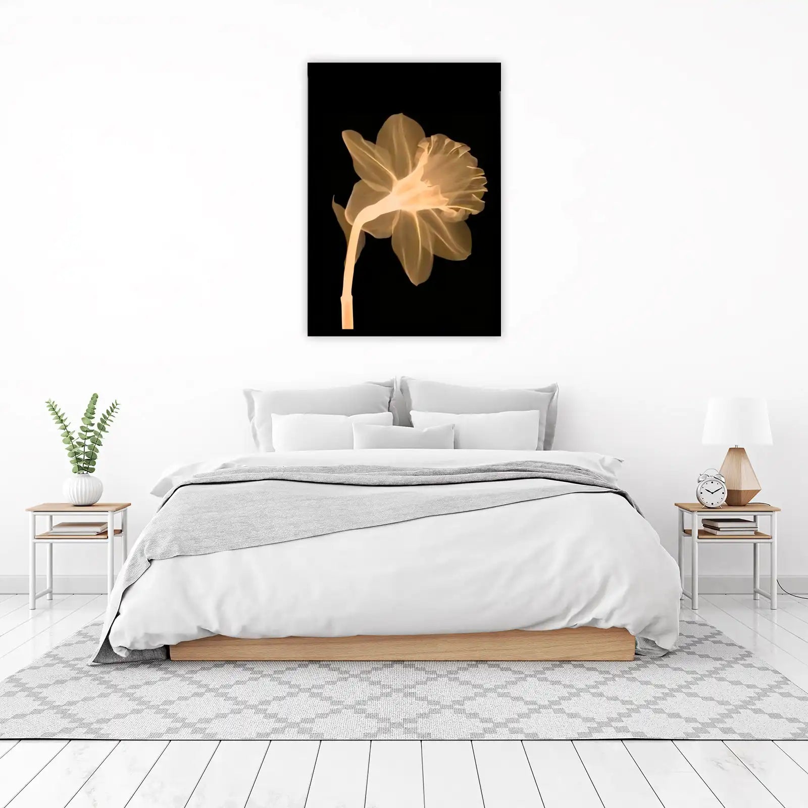 Radiant Daffodil X-Ray Wall Art