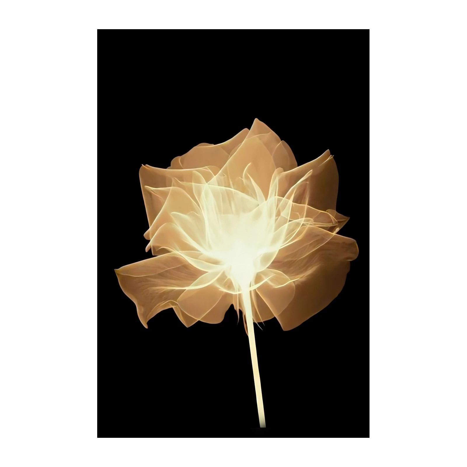 Luminous Golden Rose Wall Art Wall Art