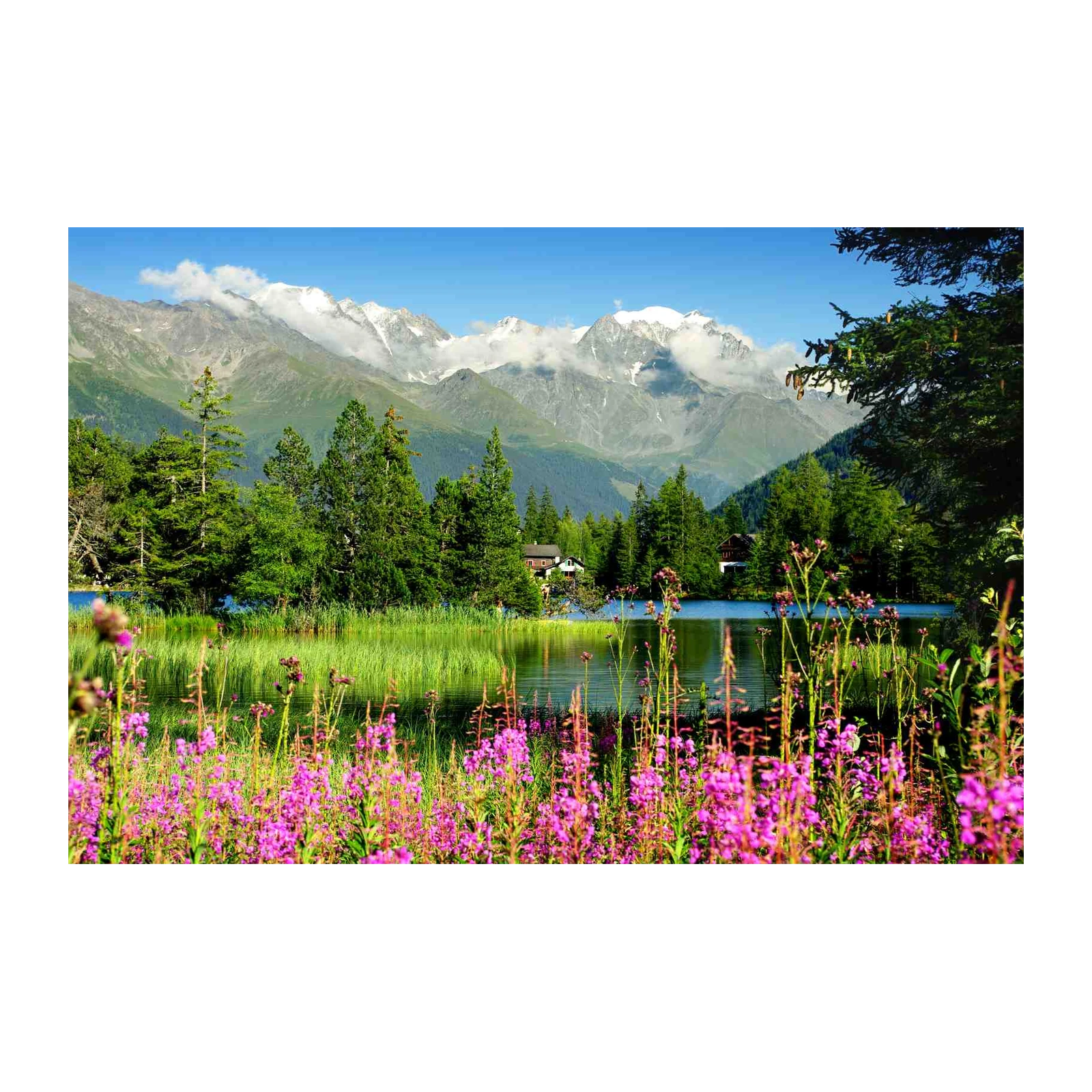 Serene Alpine Lake & Wildflowers Wall Art