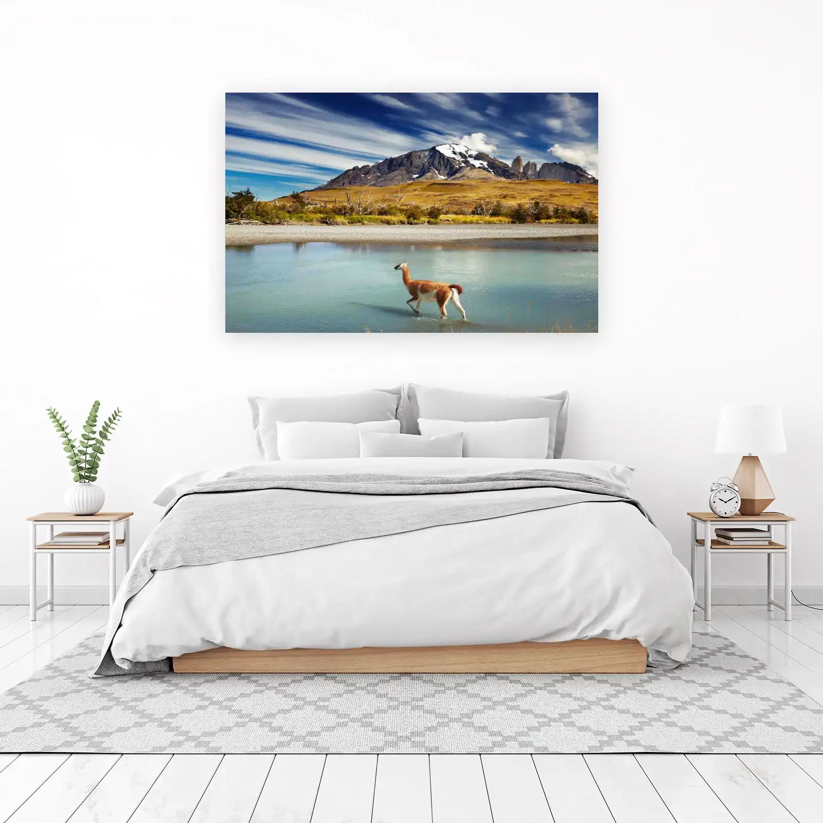 Patagonia Guanaco Serenity Wall Art