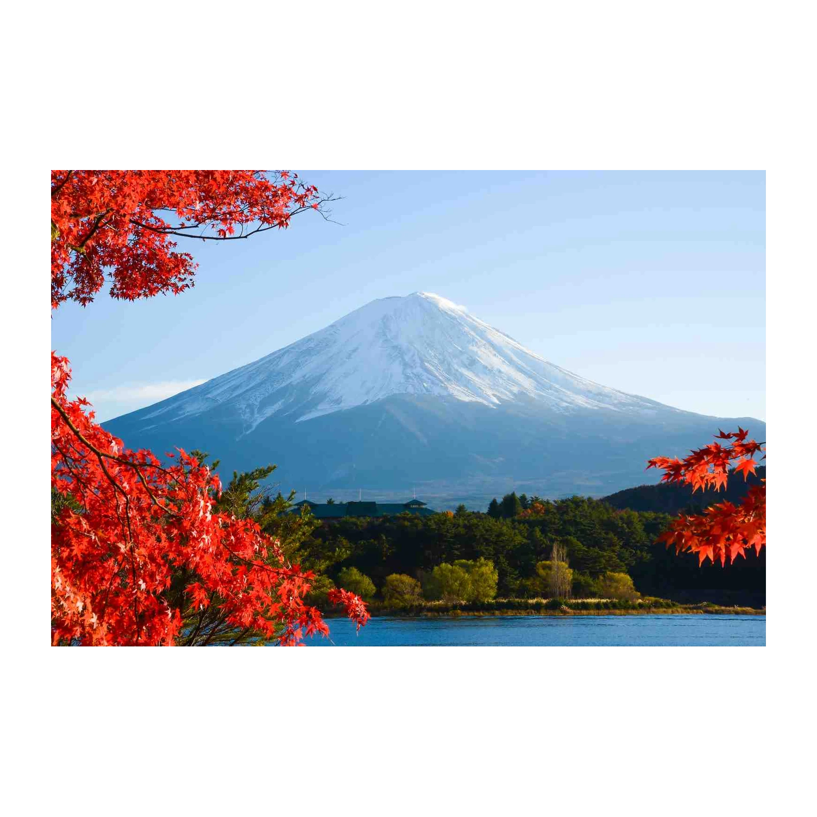 Majestic Fuji Autumn Maple Wall Art