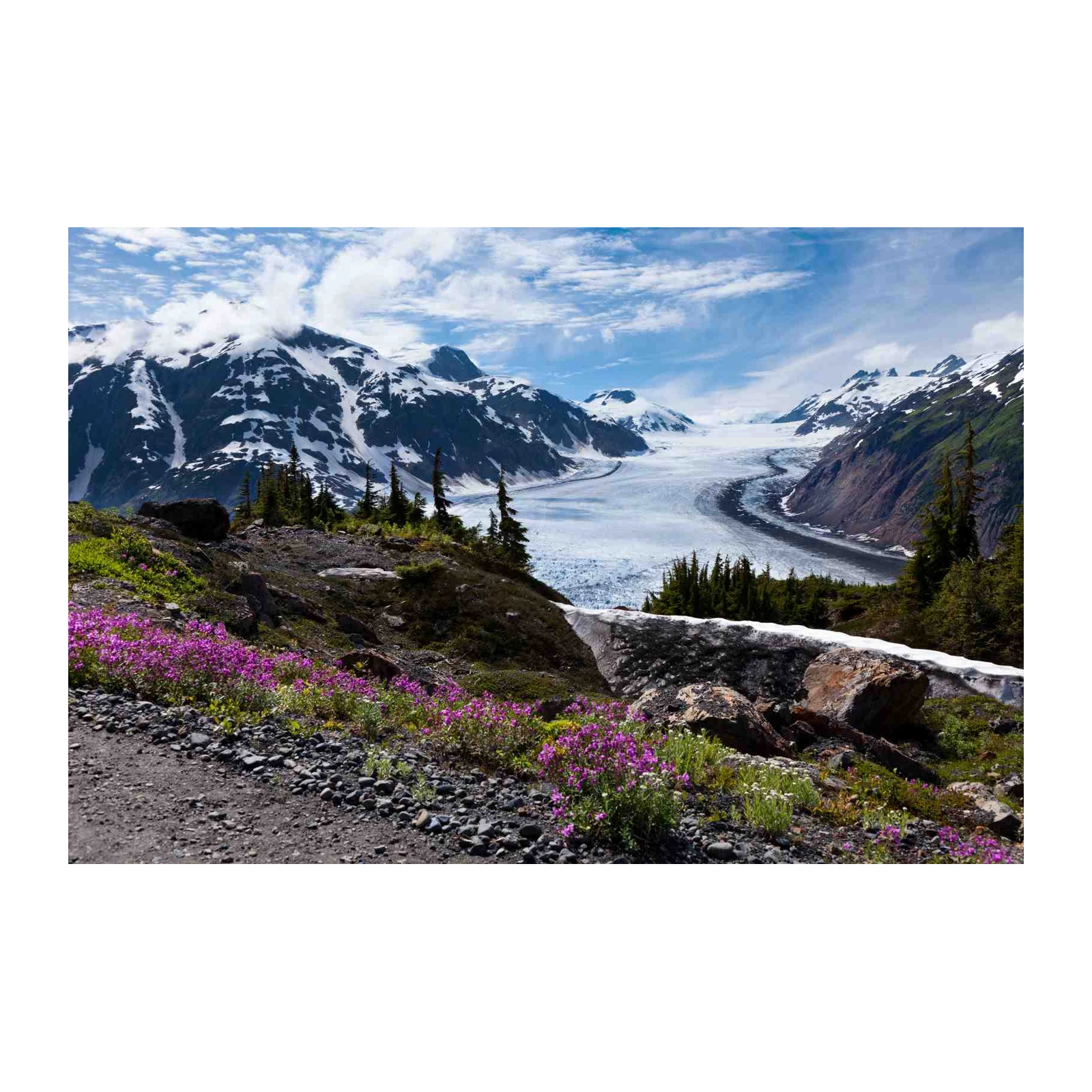 Glacial Majesty Alaska Wildflower Wall Art