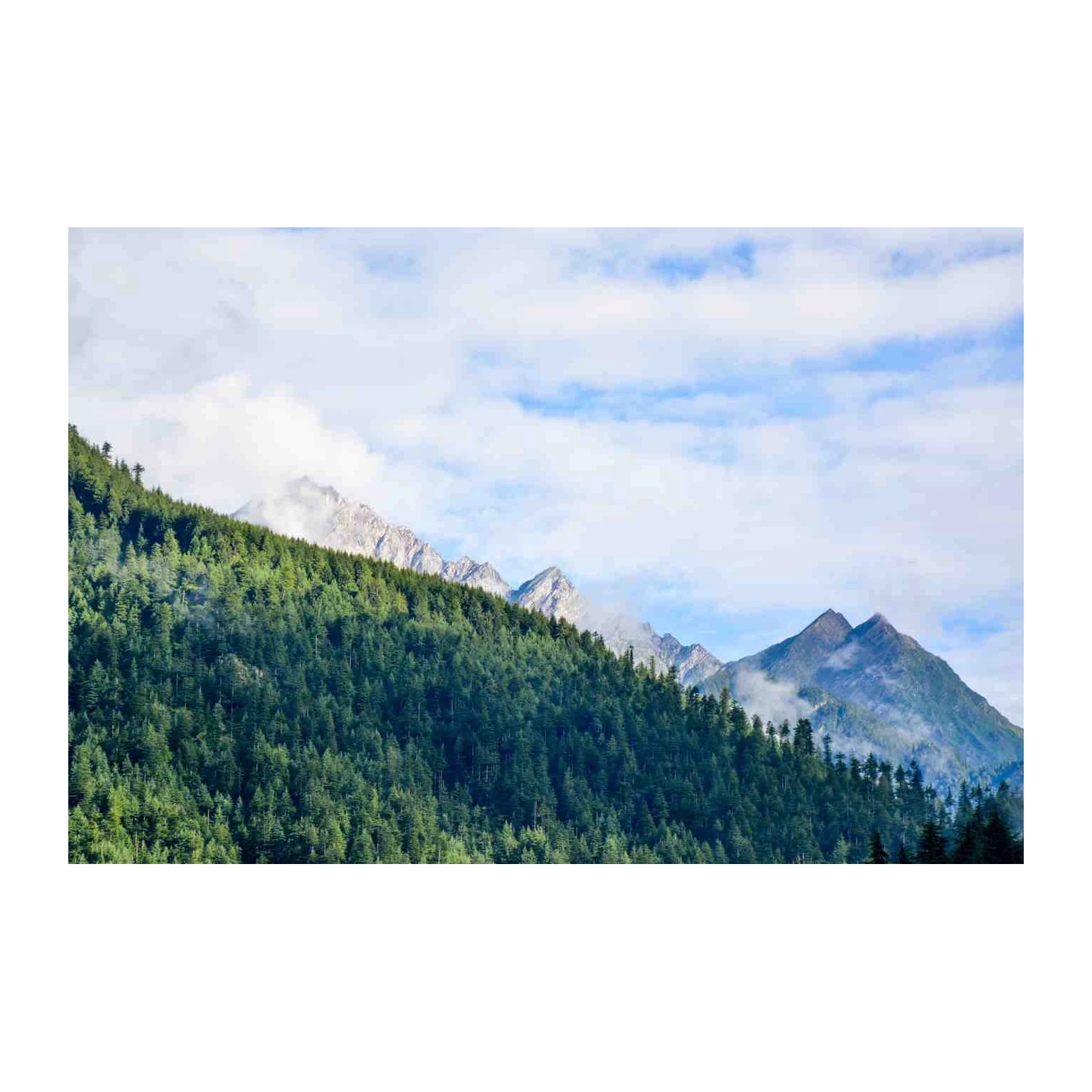 Majestic Forested Mountains Wall Art