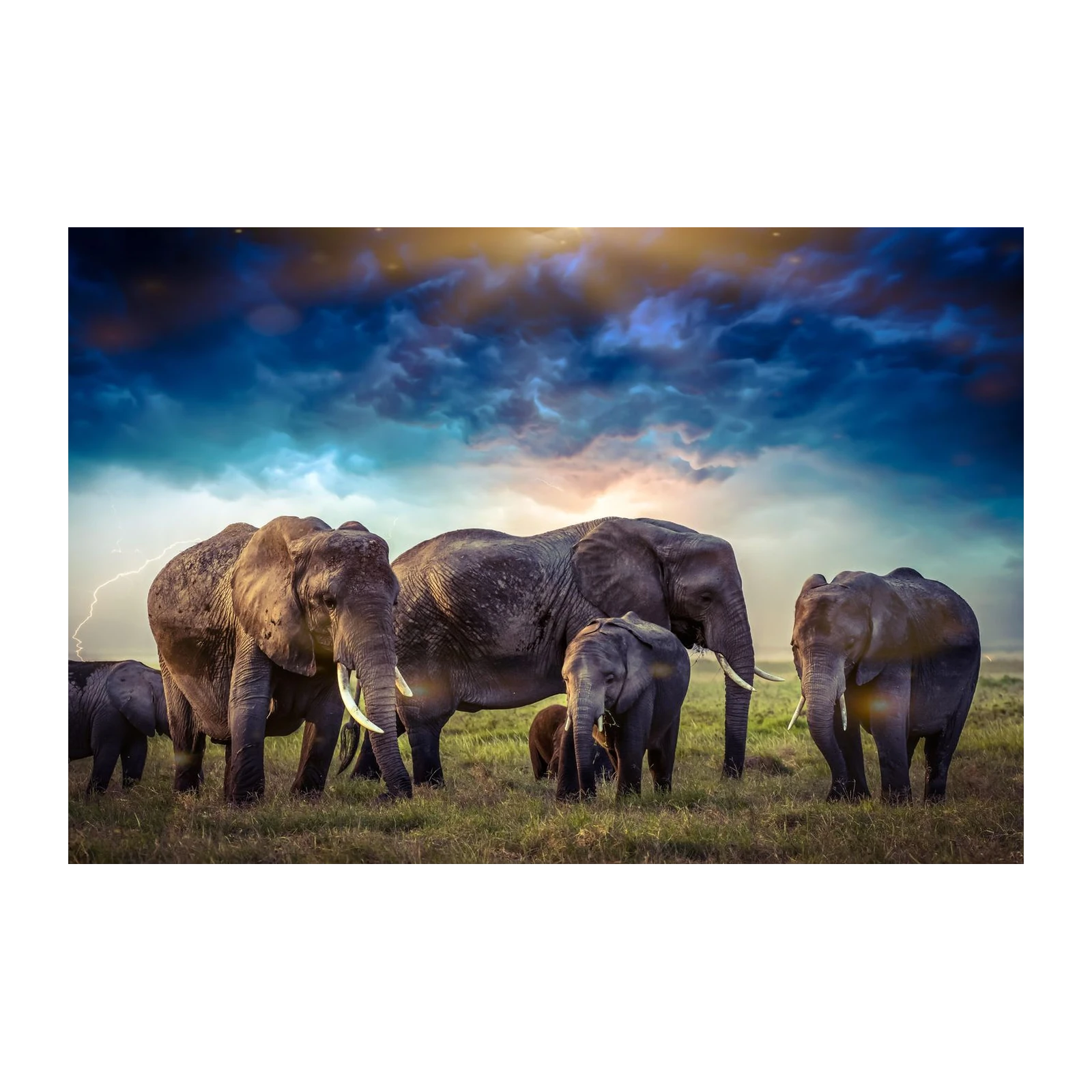 Majestic Elephants Lightning Wall Art