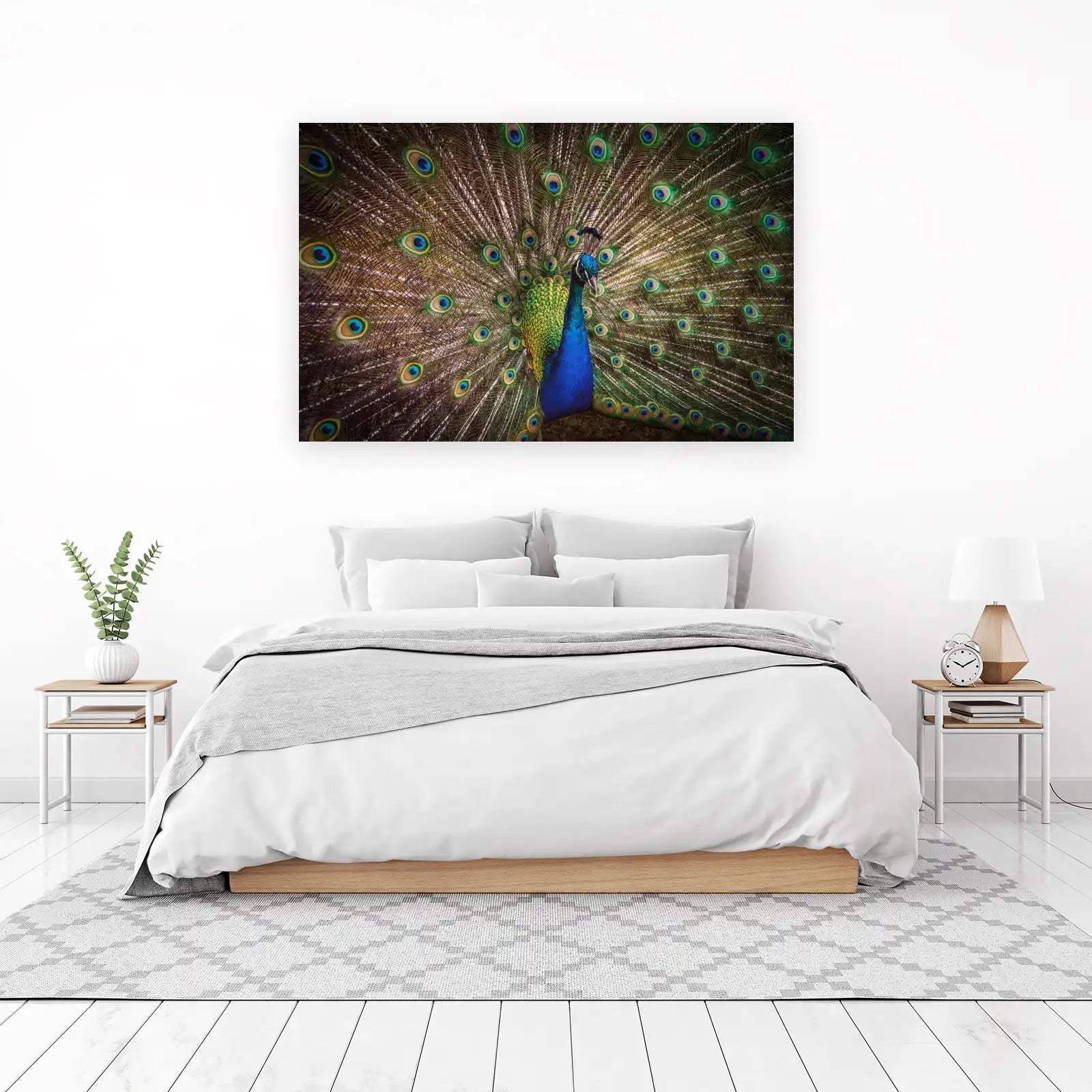 Majestic Peacock Feather Eye Wall Art
