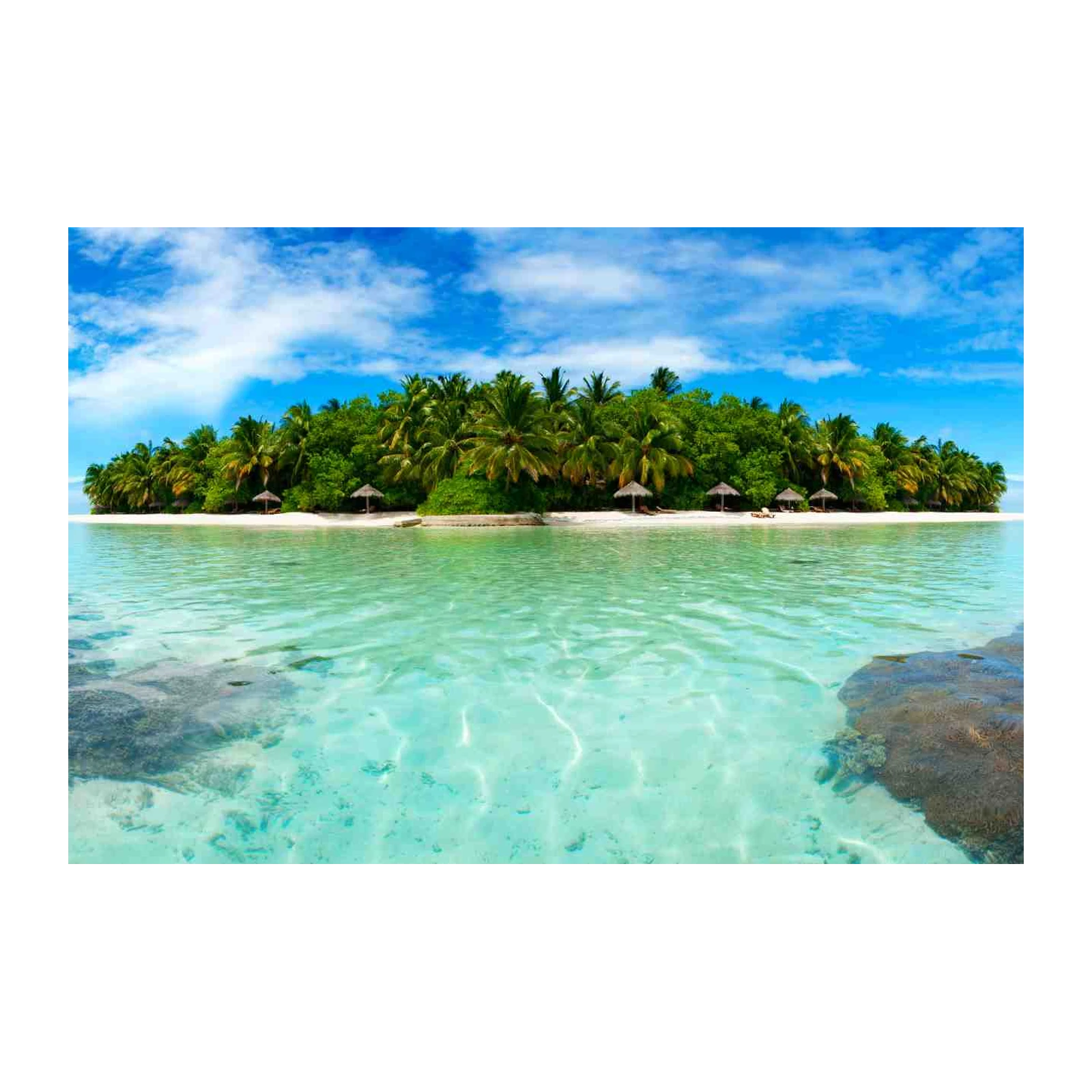 Tropical Paradise Beach Wall Art