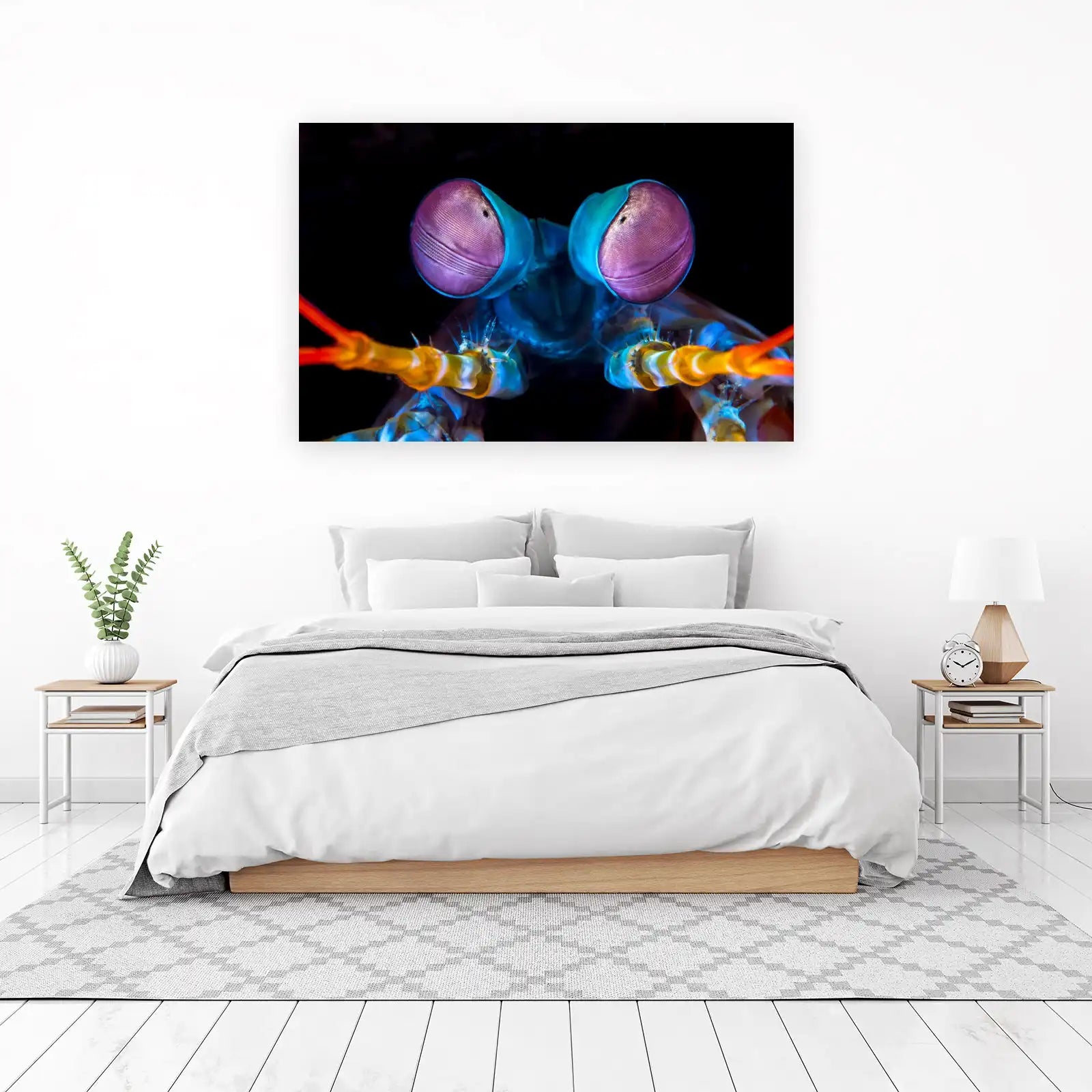 Vibrant Mantis Shrimp Eyes Wall Art