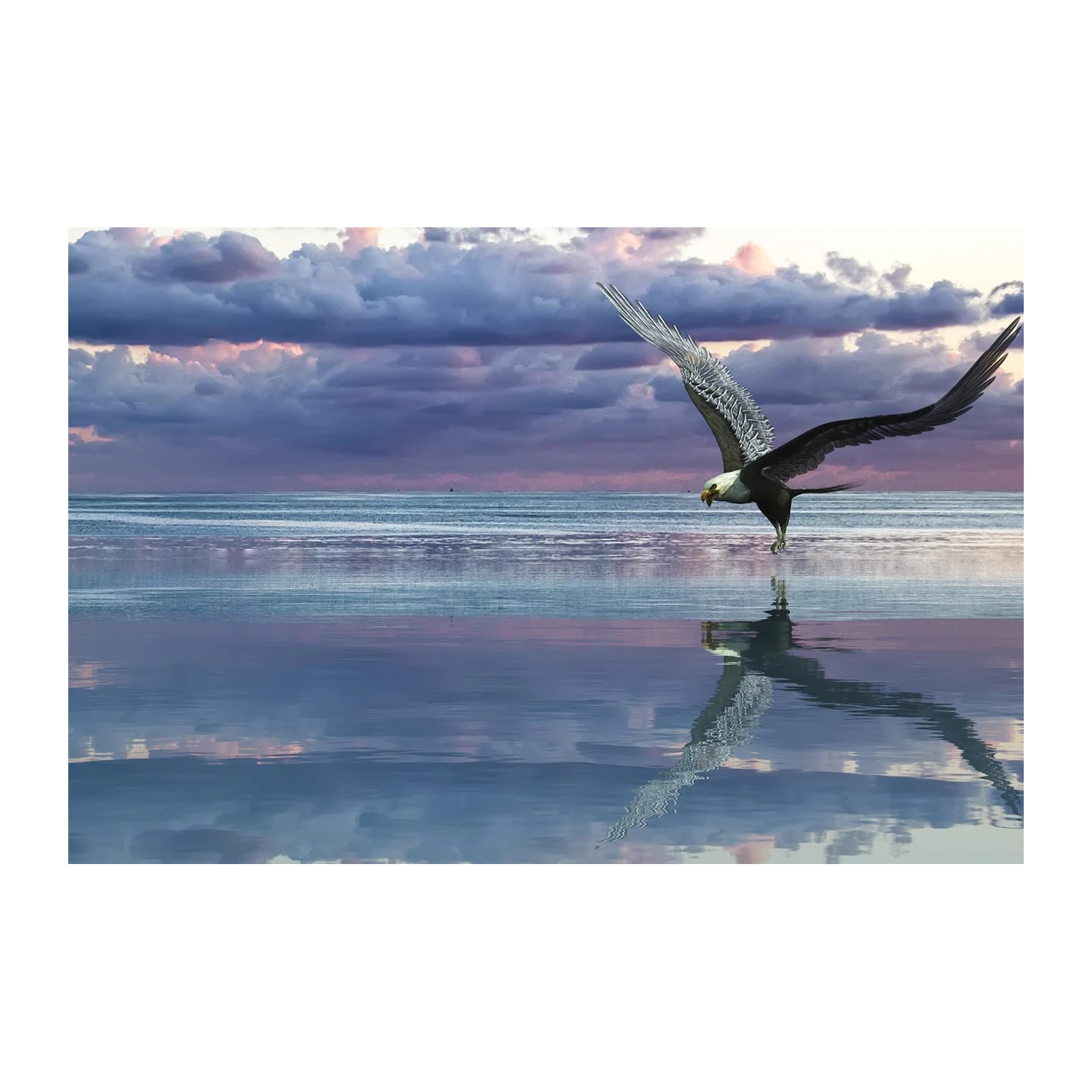 Majestic Eagle Over Water Wall Art
