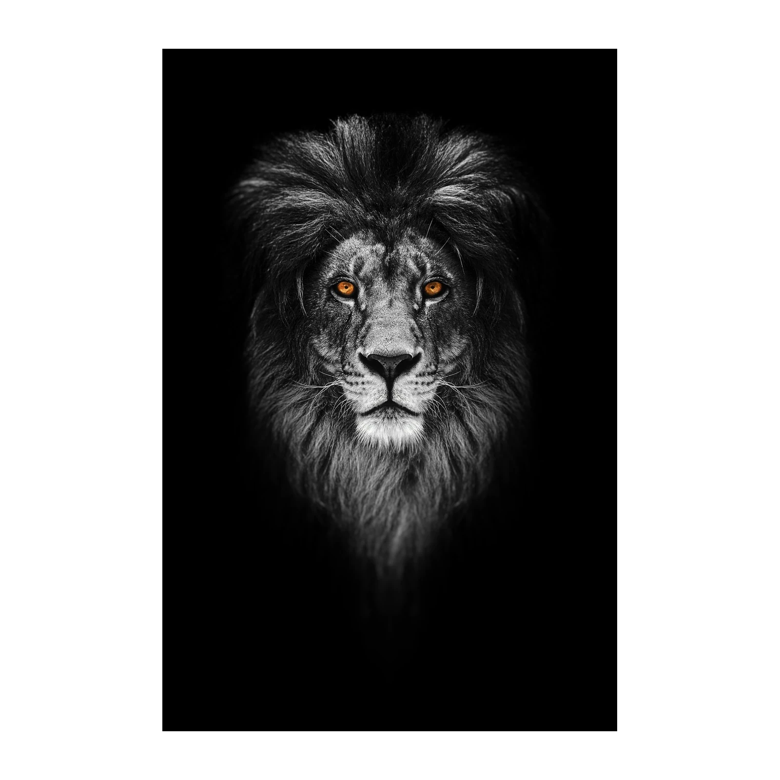 Majestic Lion Portrait Wall Art