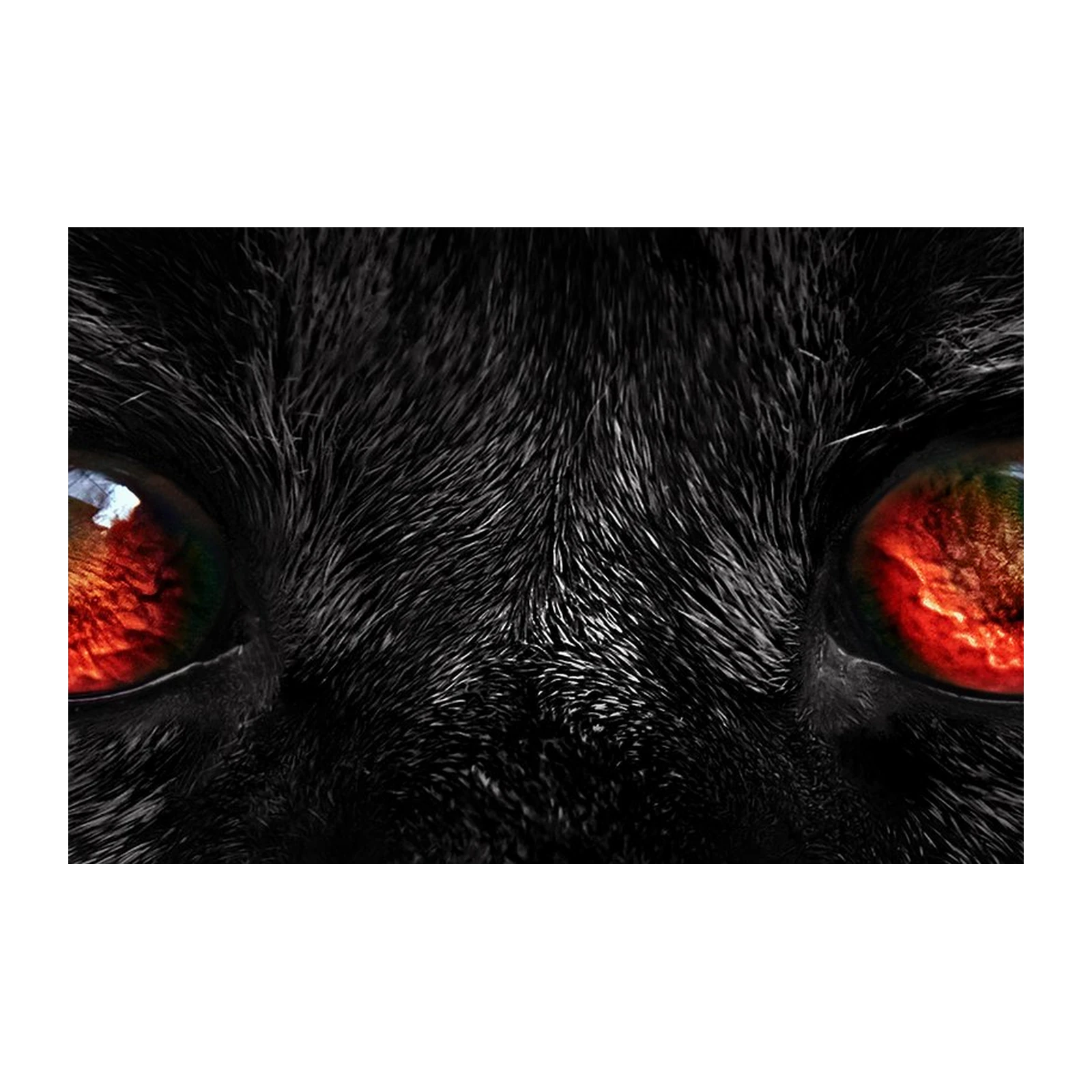 Mysterious Black Cat with Fiery Eyes Wall Art