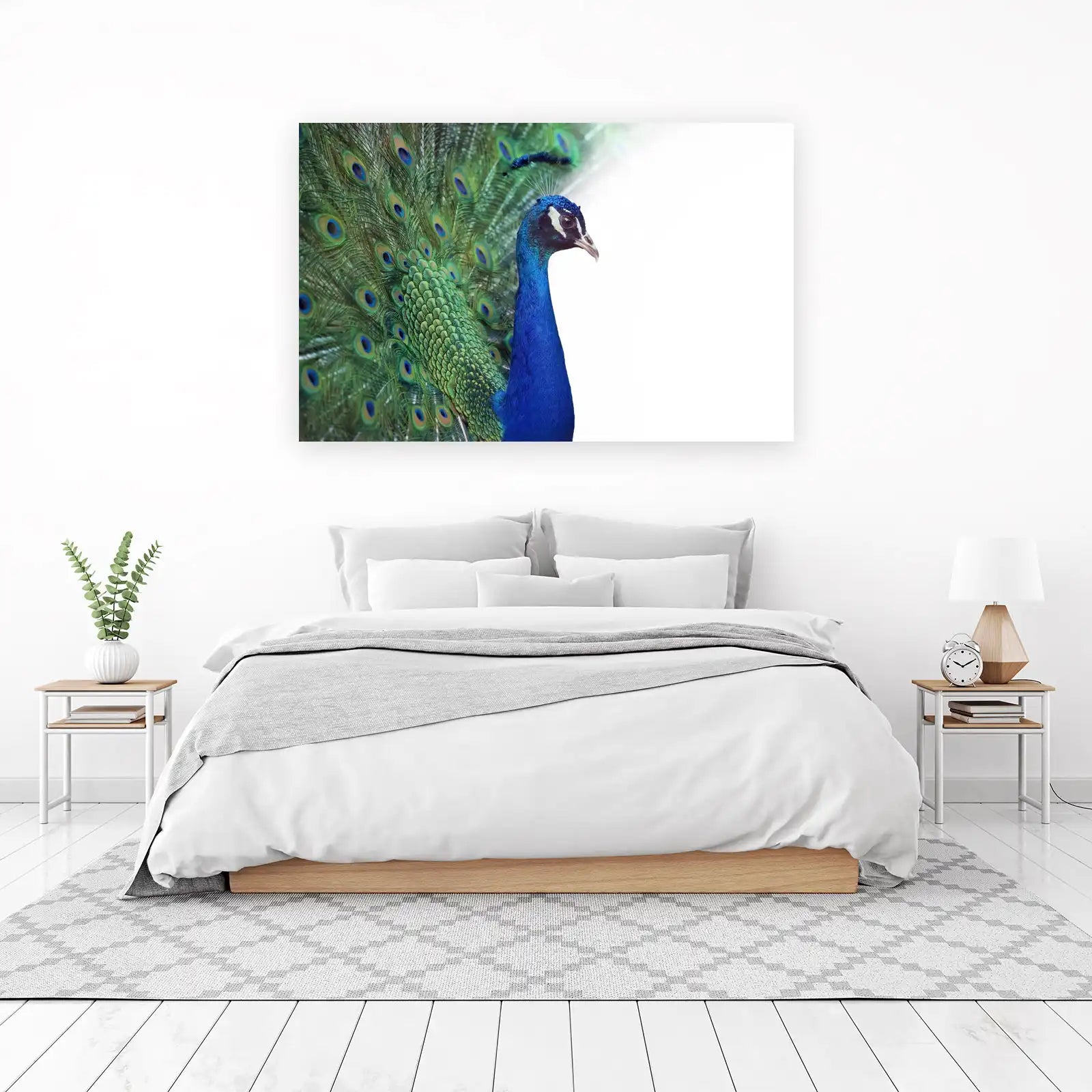 Majestic Peacock Feather Burst Wall Art