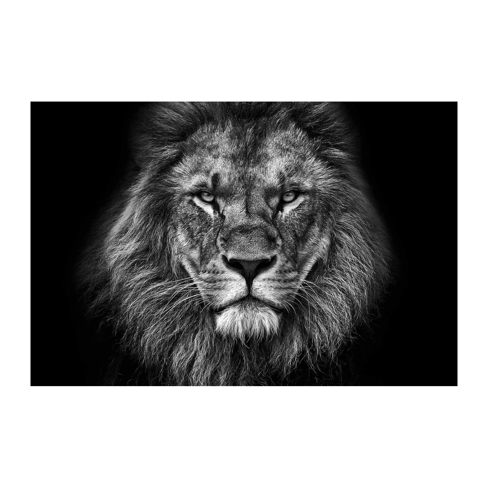 Majestic Lion King B&W Wall Art