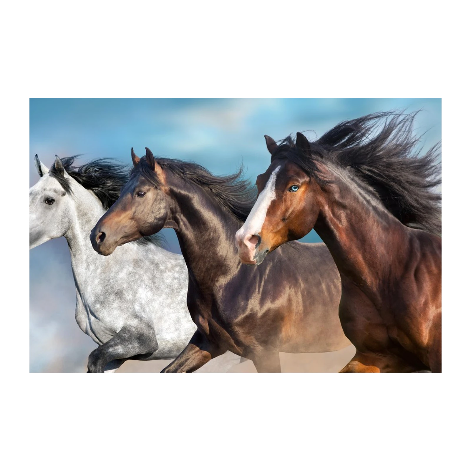 Majestic Trio Horse Wall Art Wall Art