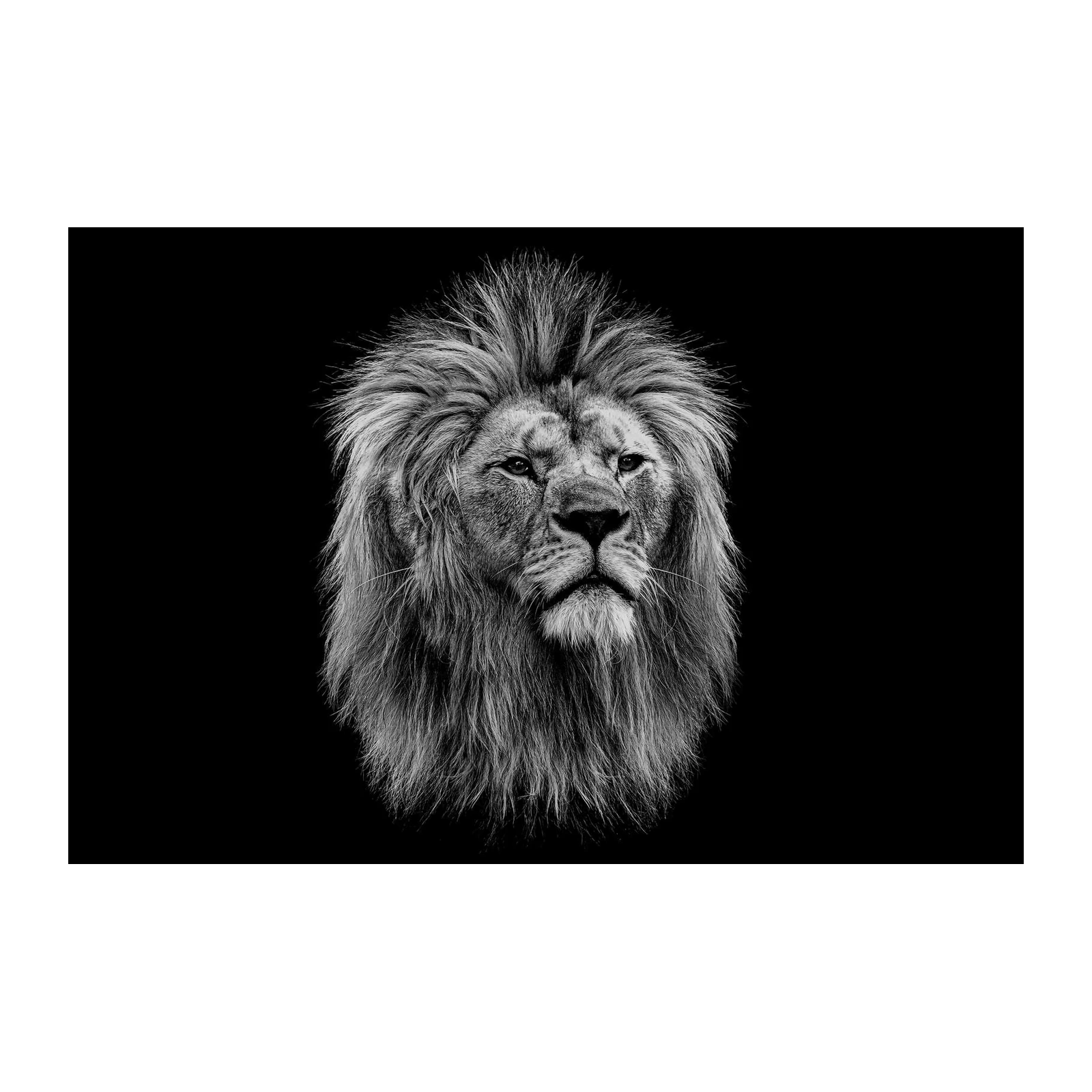 Majestic Lion B&W Portrait Wall Art