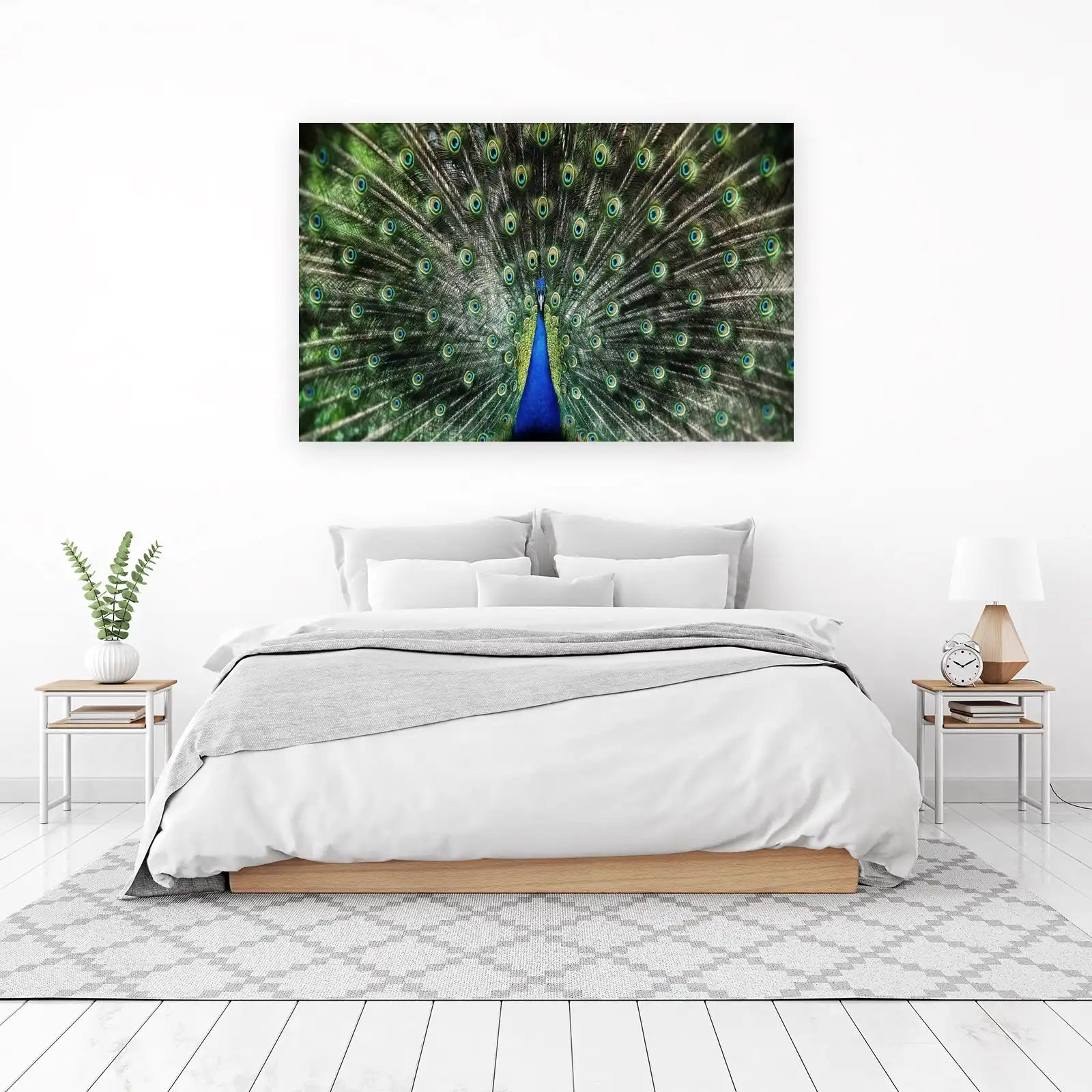 Majestic Peacock Eye Feathers Wall Art