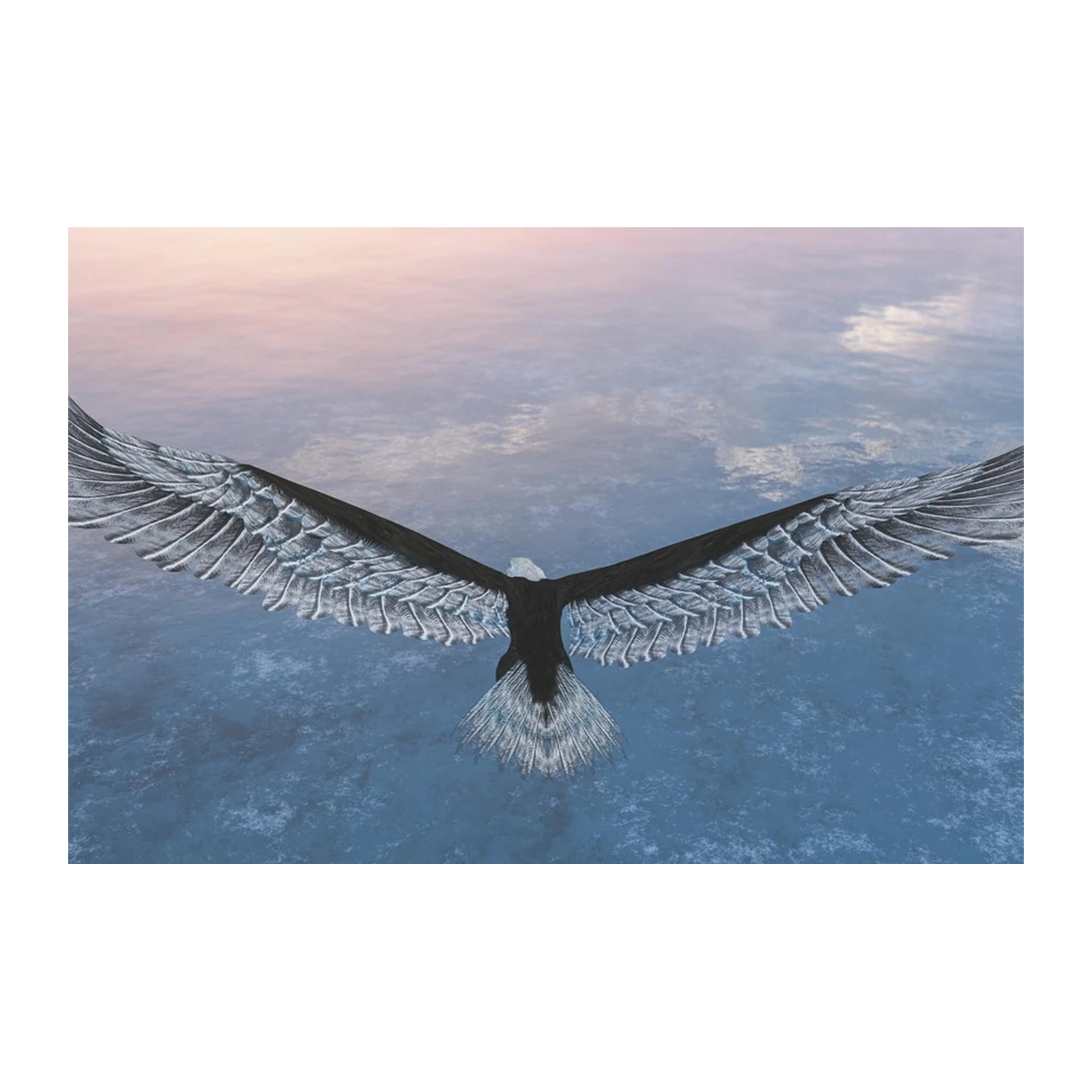 Majestic Eagle Flight Wall Art - Wildlife Art