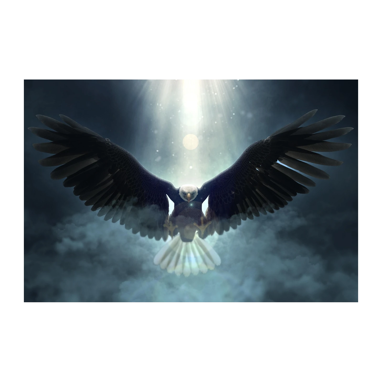 Majestic Eagle Soaring Sky Wall Art