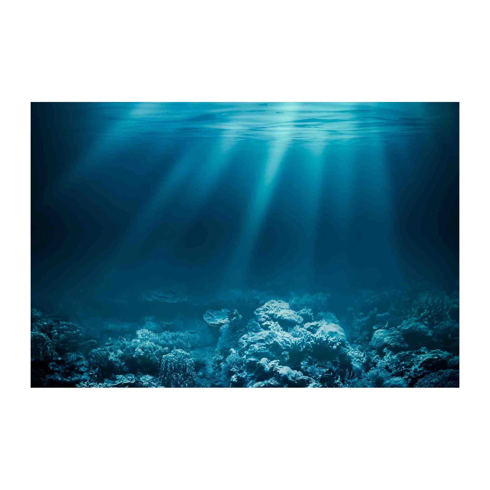 Ocean Sunbeams Coral Reef Wall Art