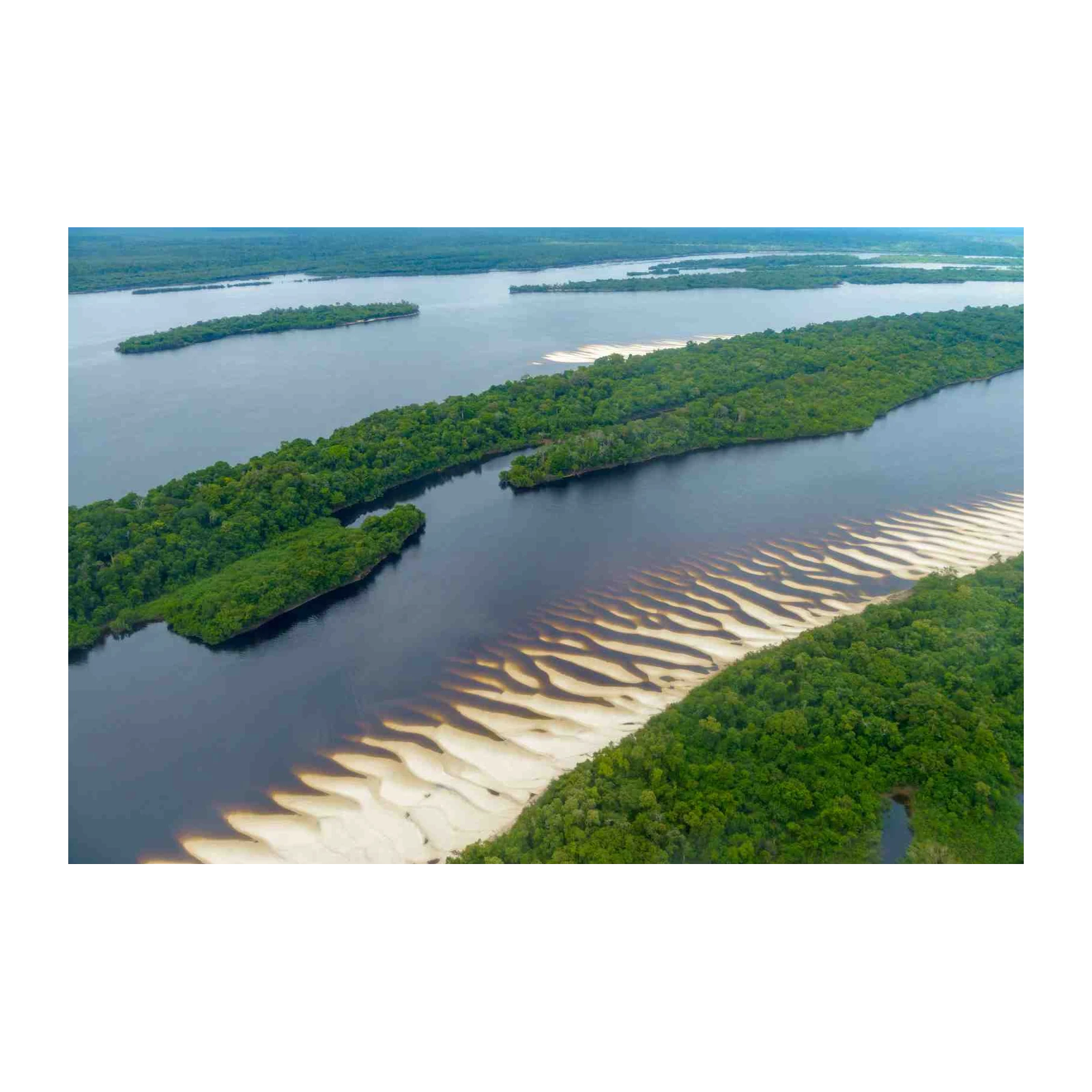 Amazon River Landscape Wall Art