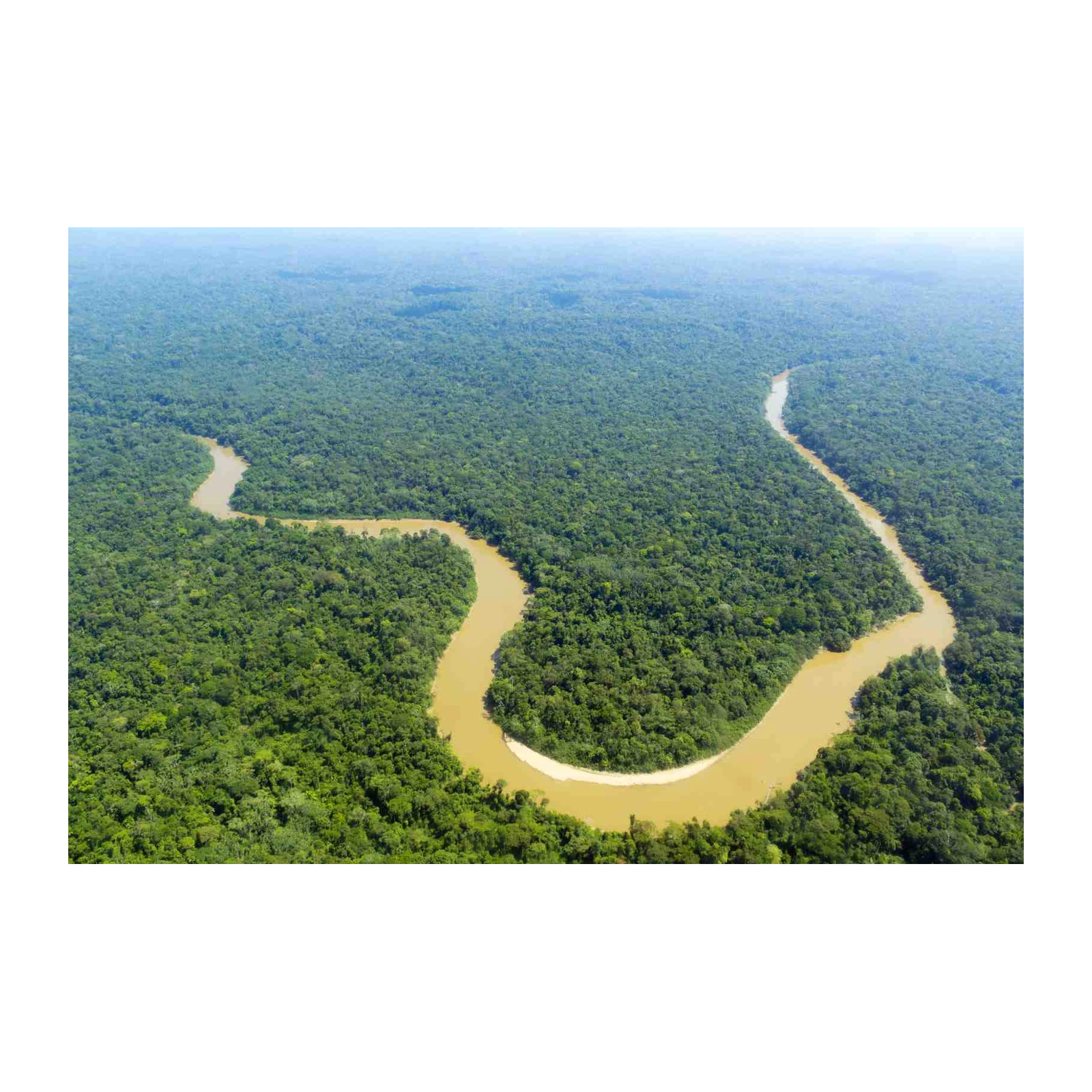 Serene Amazon River Bend Wall Art