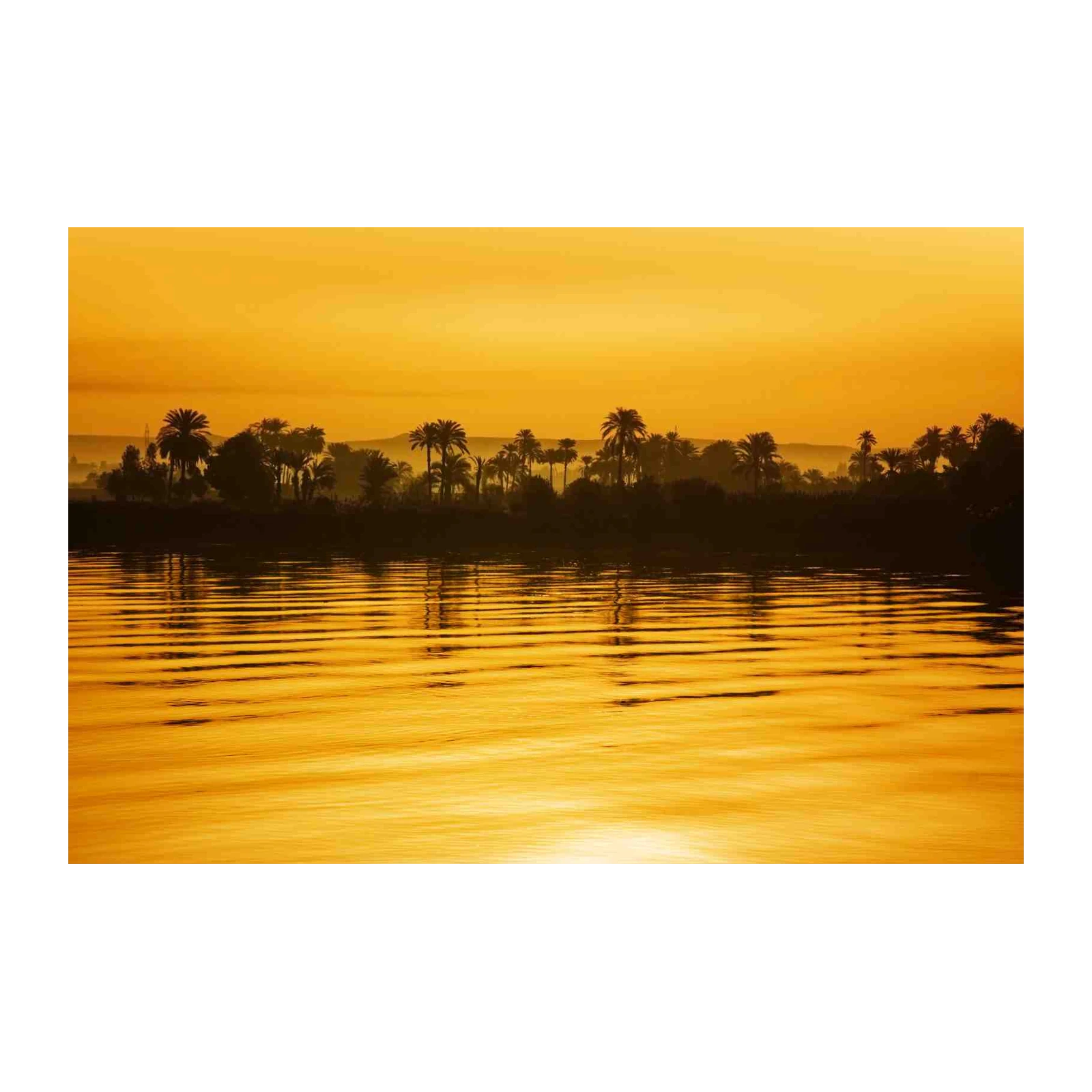 Golden Nile Sunset Palm Trees Wall Art