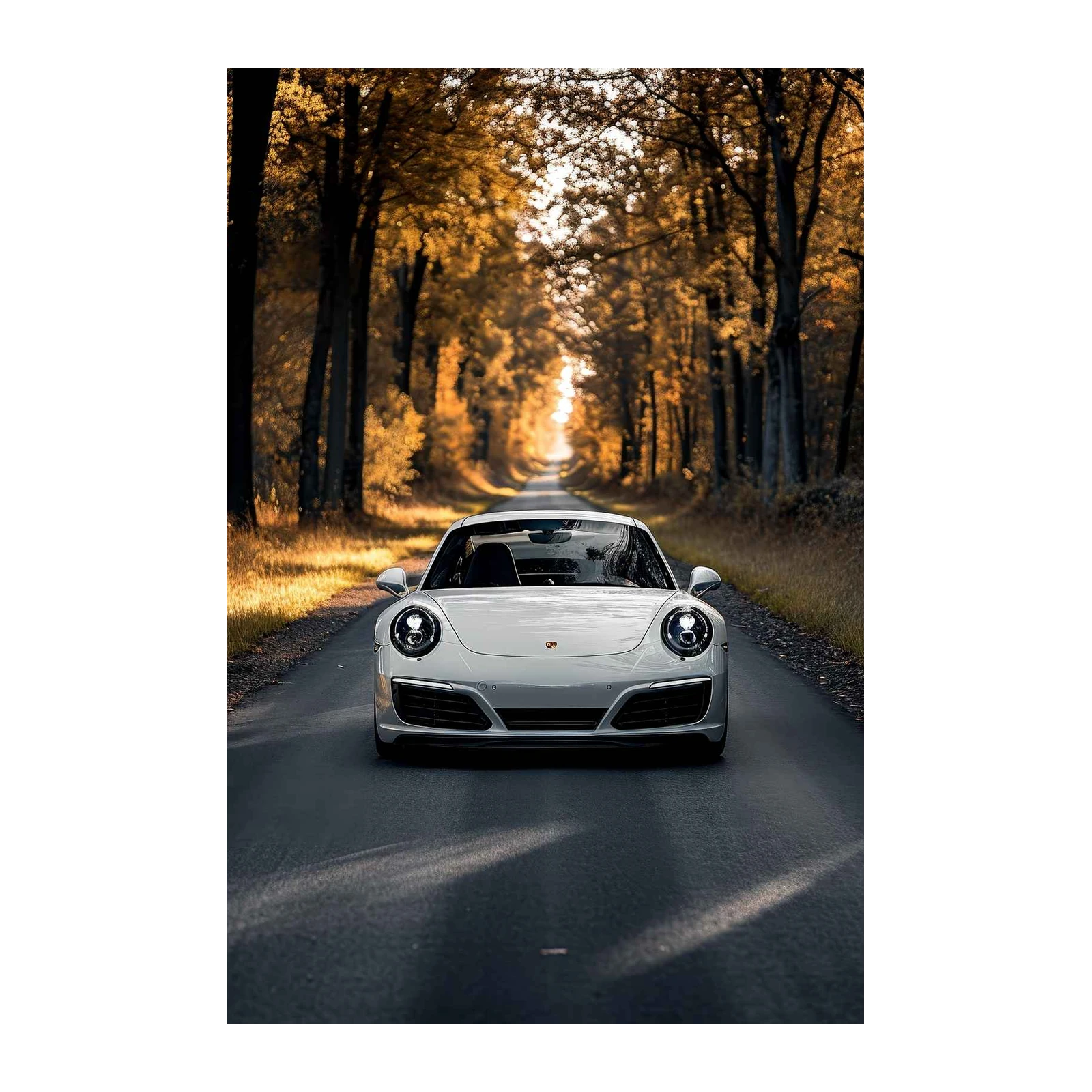 Luxury White Sports Car in Autumn Forest Wall Art